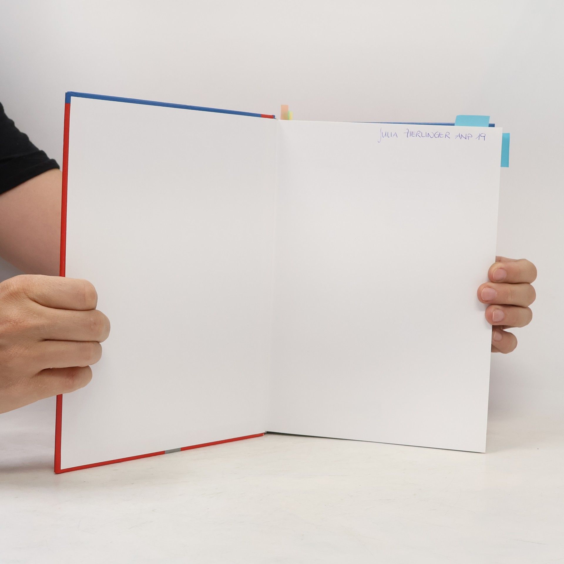 Märle Poser Lehrbuch Stationsleitung