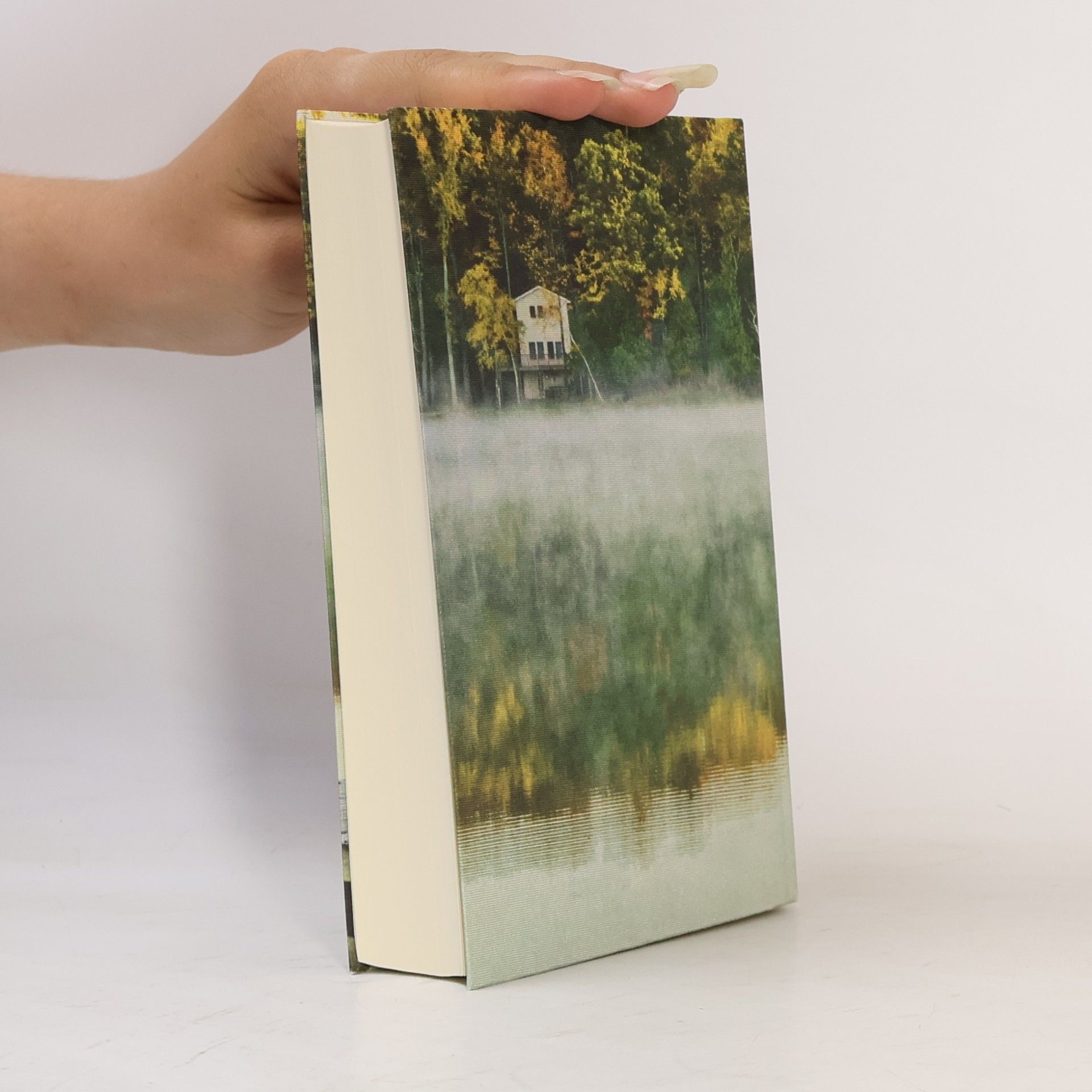Henry David Thoreau Walden oder Leben in den Wäldern