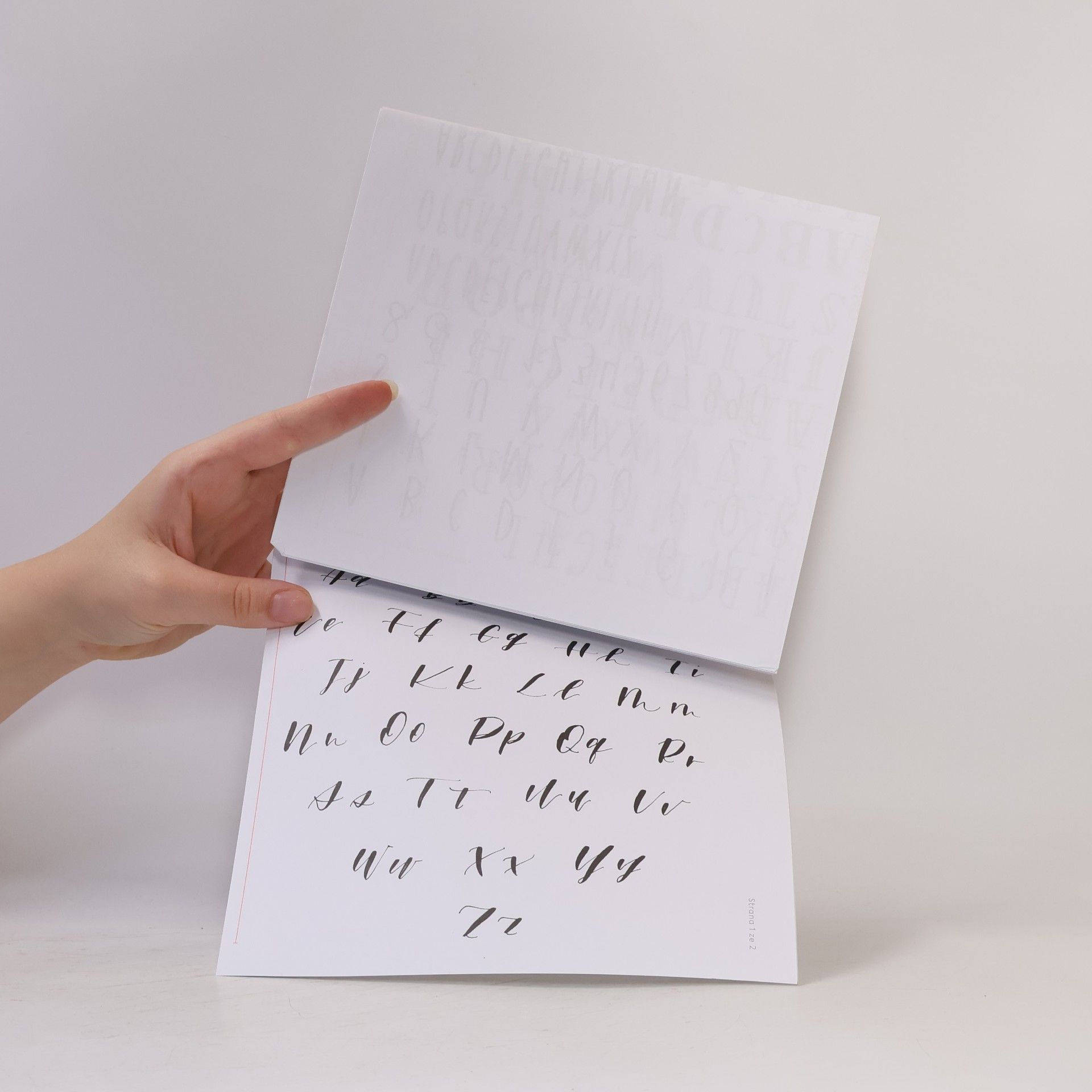 Tanja Cappell Abeceda krasopsaní : základy letteringu krok za krokem