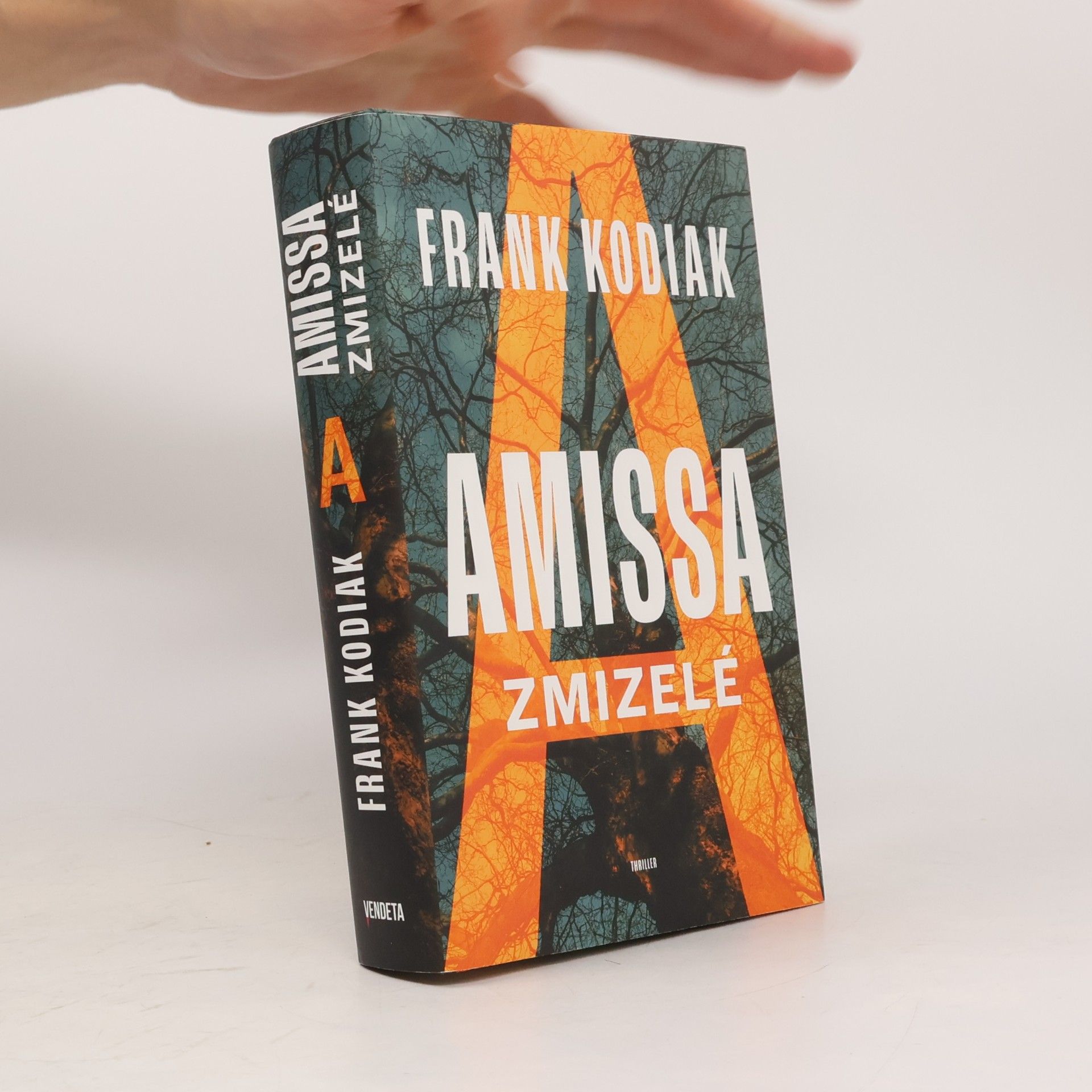 Hendrik Winter Amissa. Zmizelé