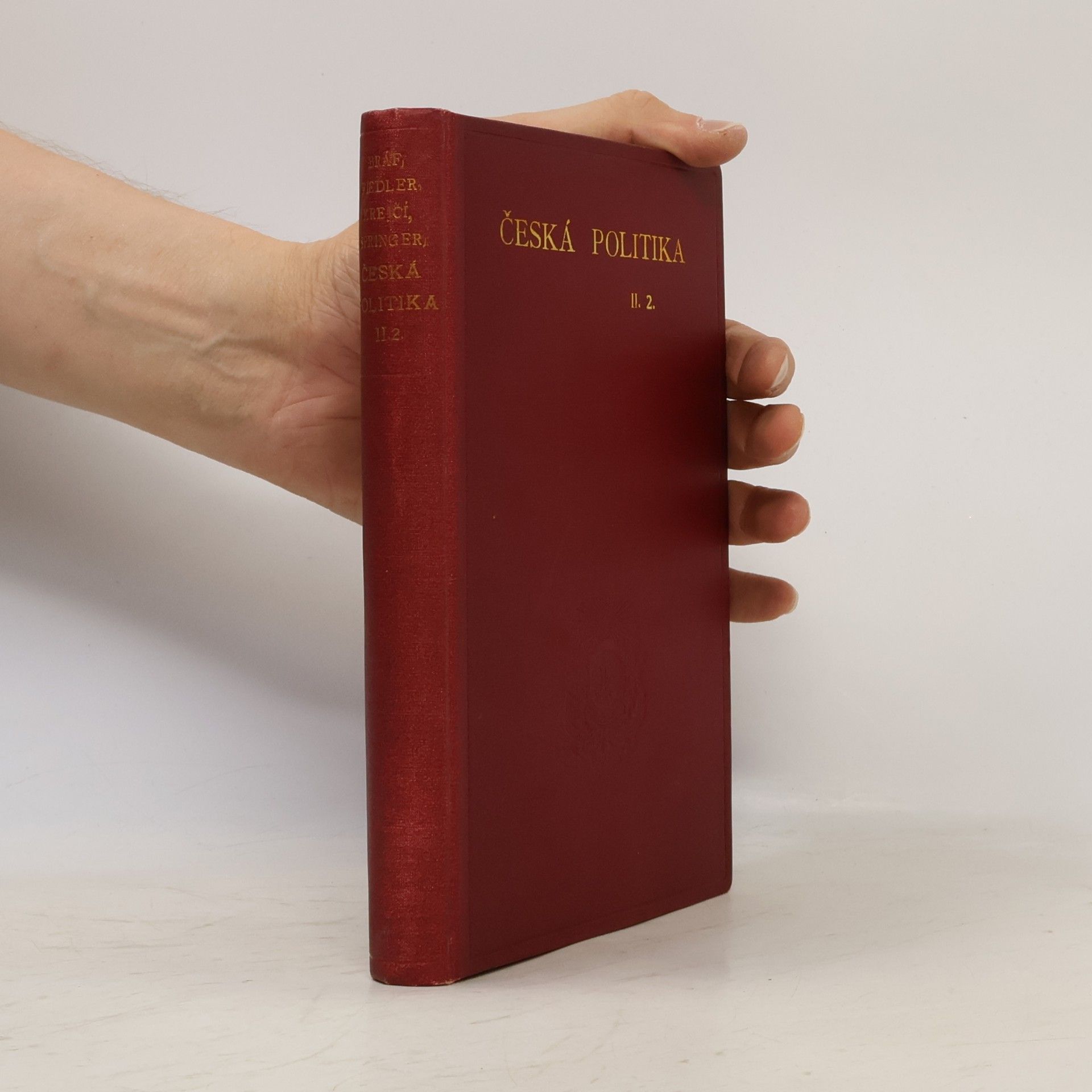 Autores varios Česká politika II.2