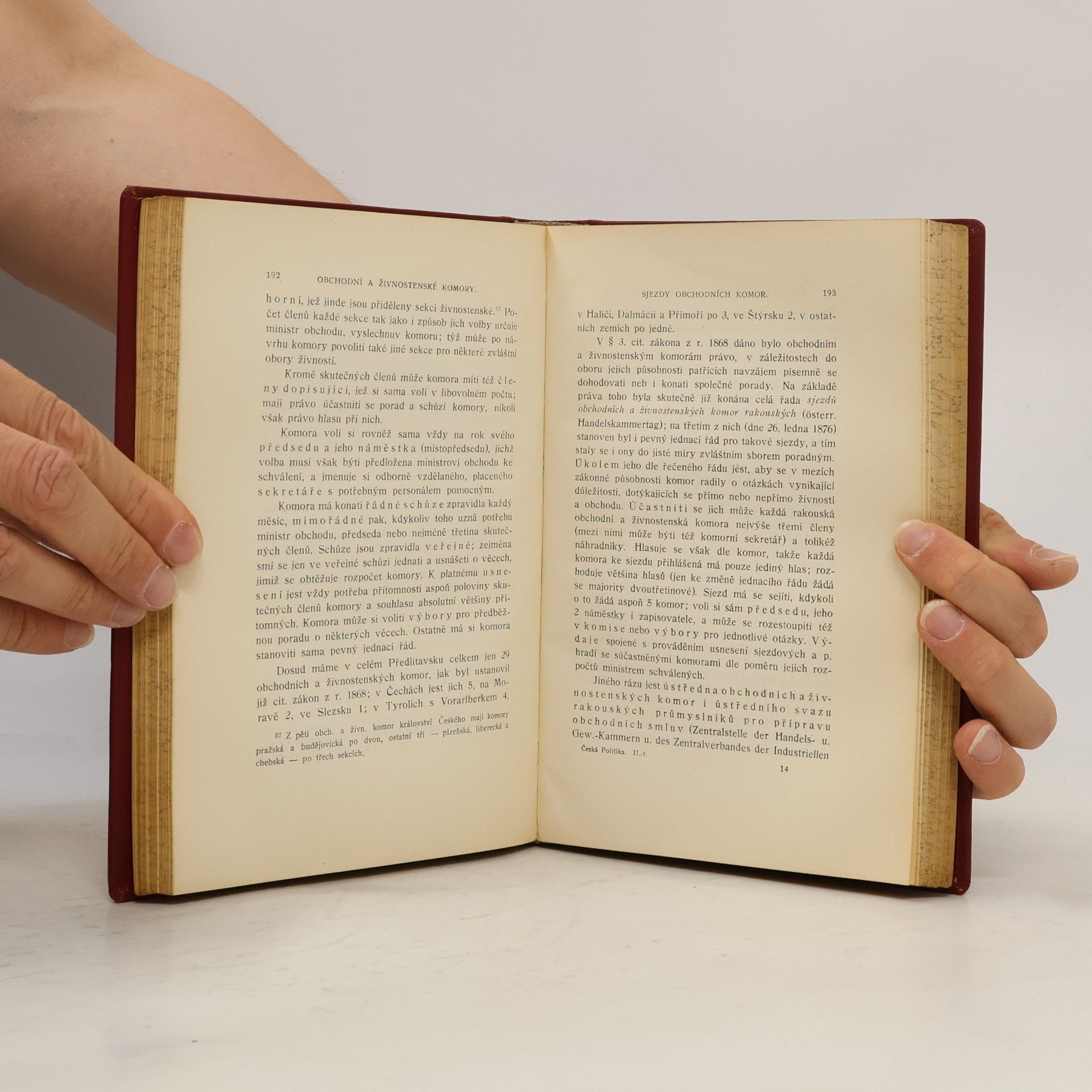 Autores varios Česká politika II.2