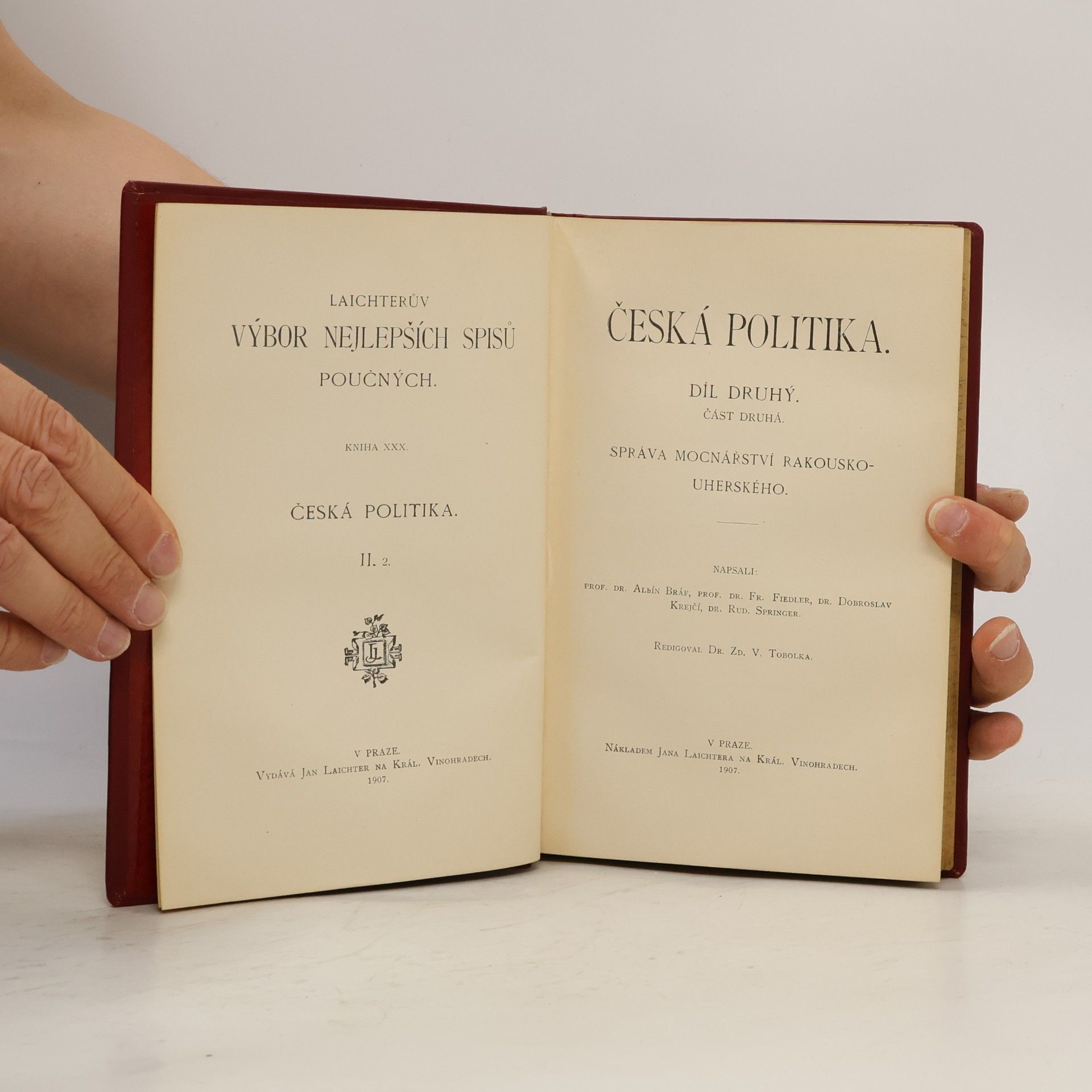 Autores varios Česká politika II.2