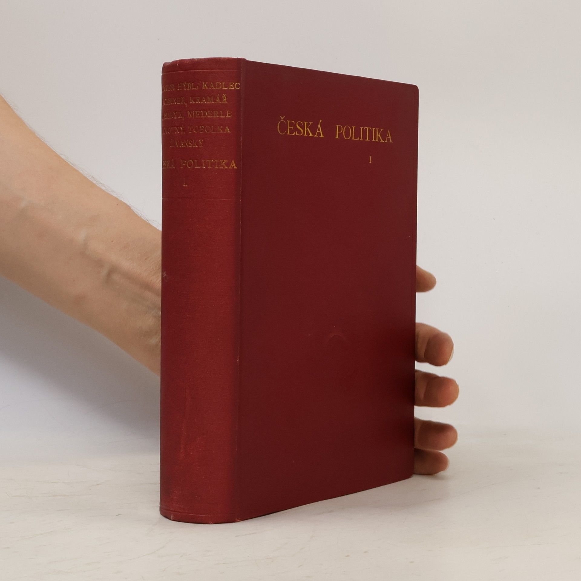 Autores varios Česká politika I