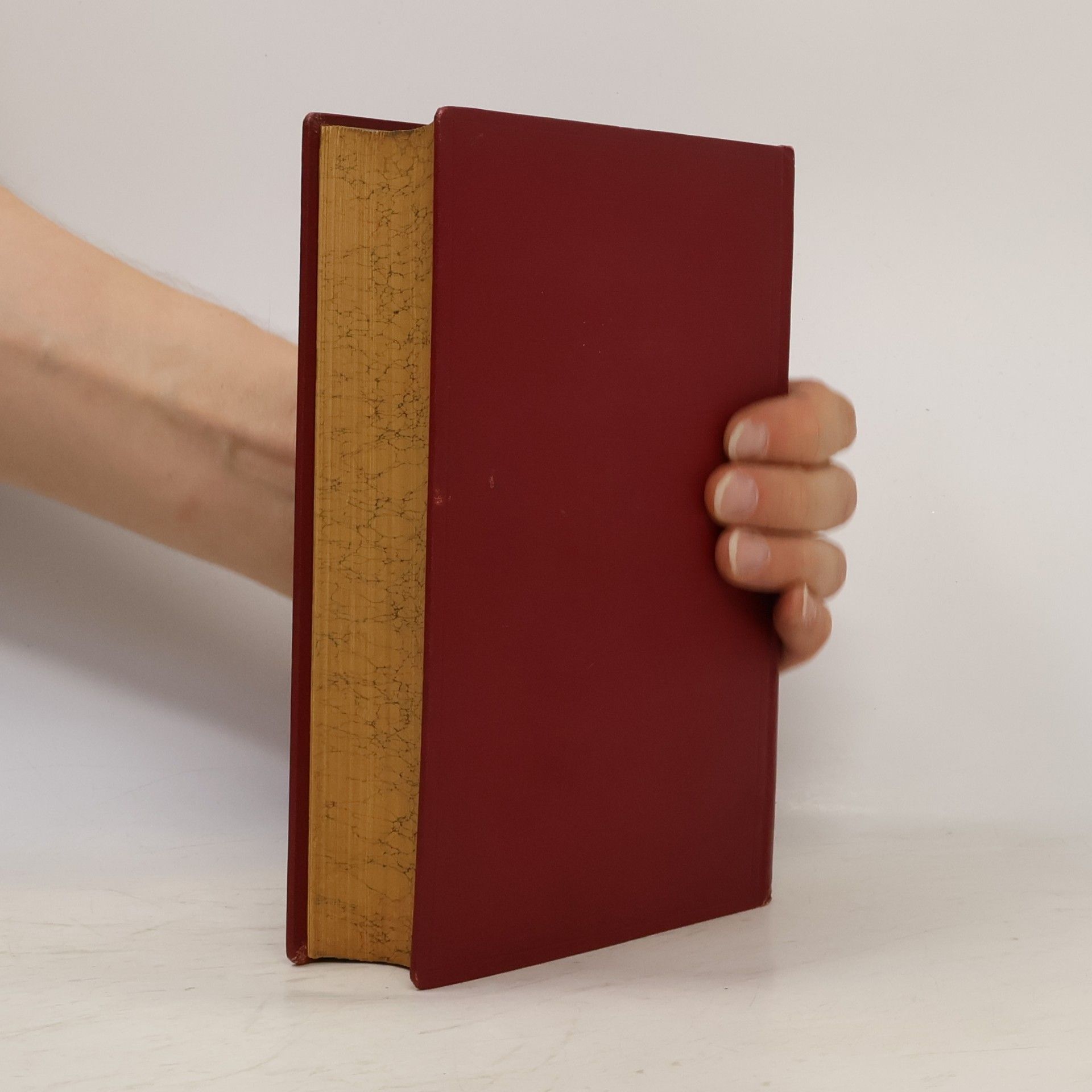 Autores varios Česká politika I