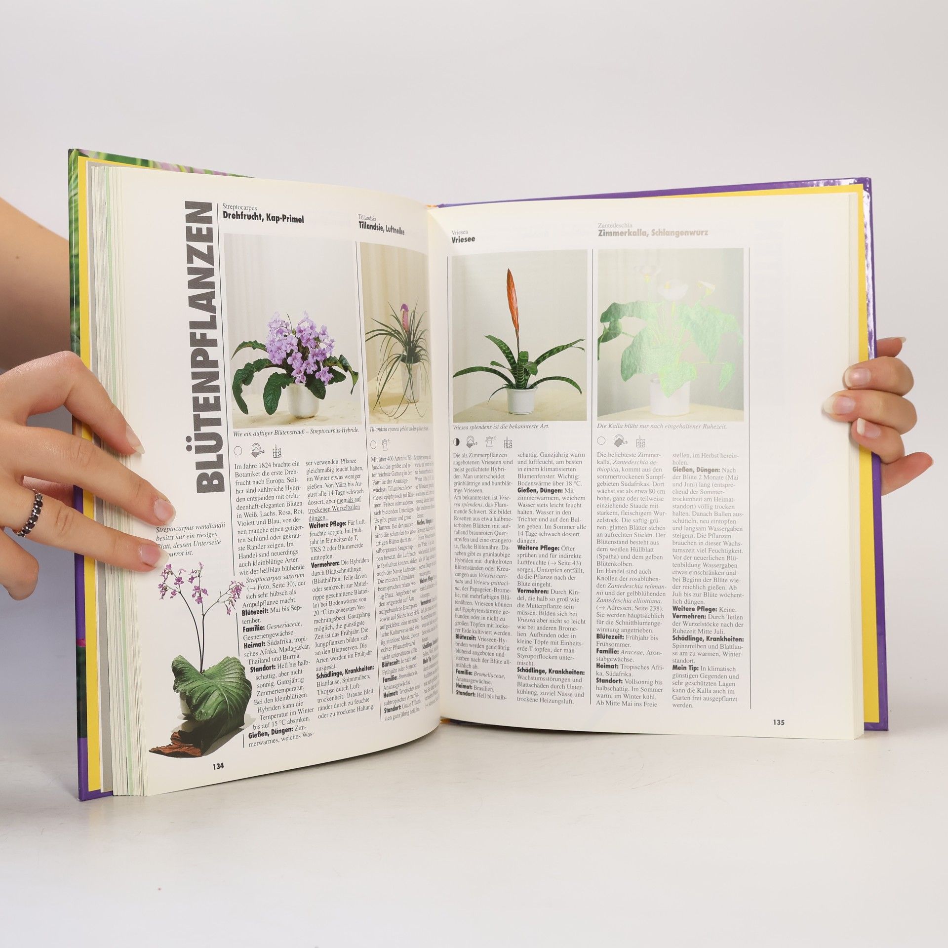 Halina Heitz Das große GU. Zimmerpflanzenbuch