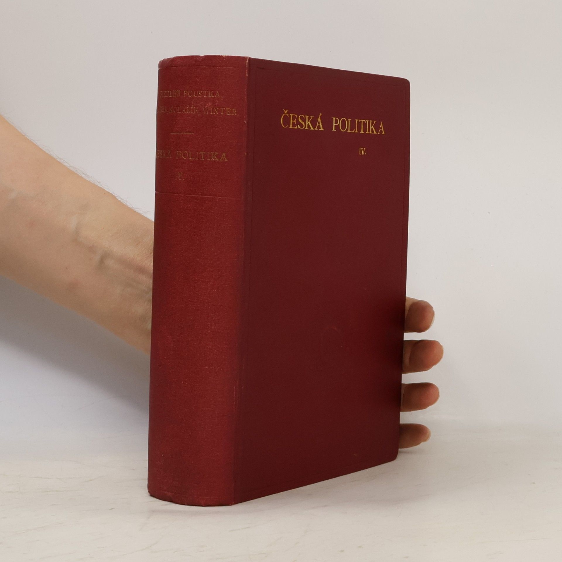 Česká politika IV.
