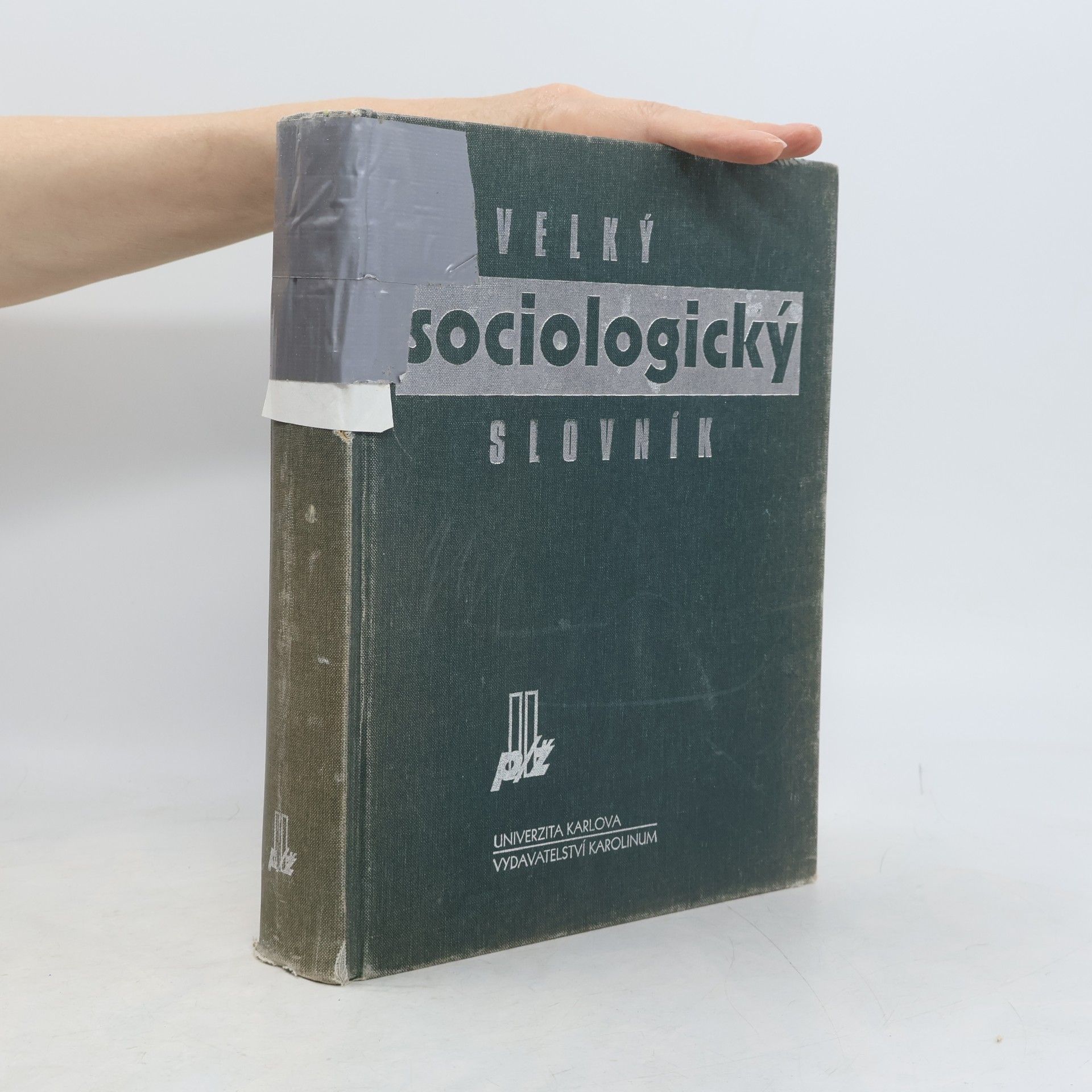 Velký sociologický slovník. 2. svazek, P-Ž