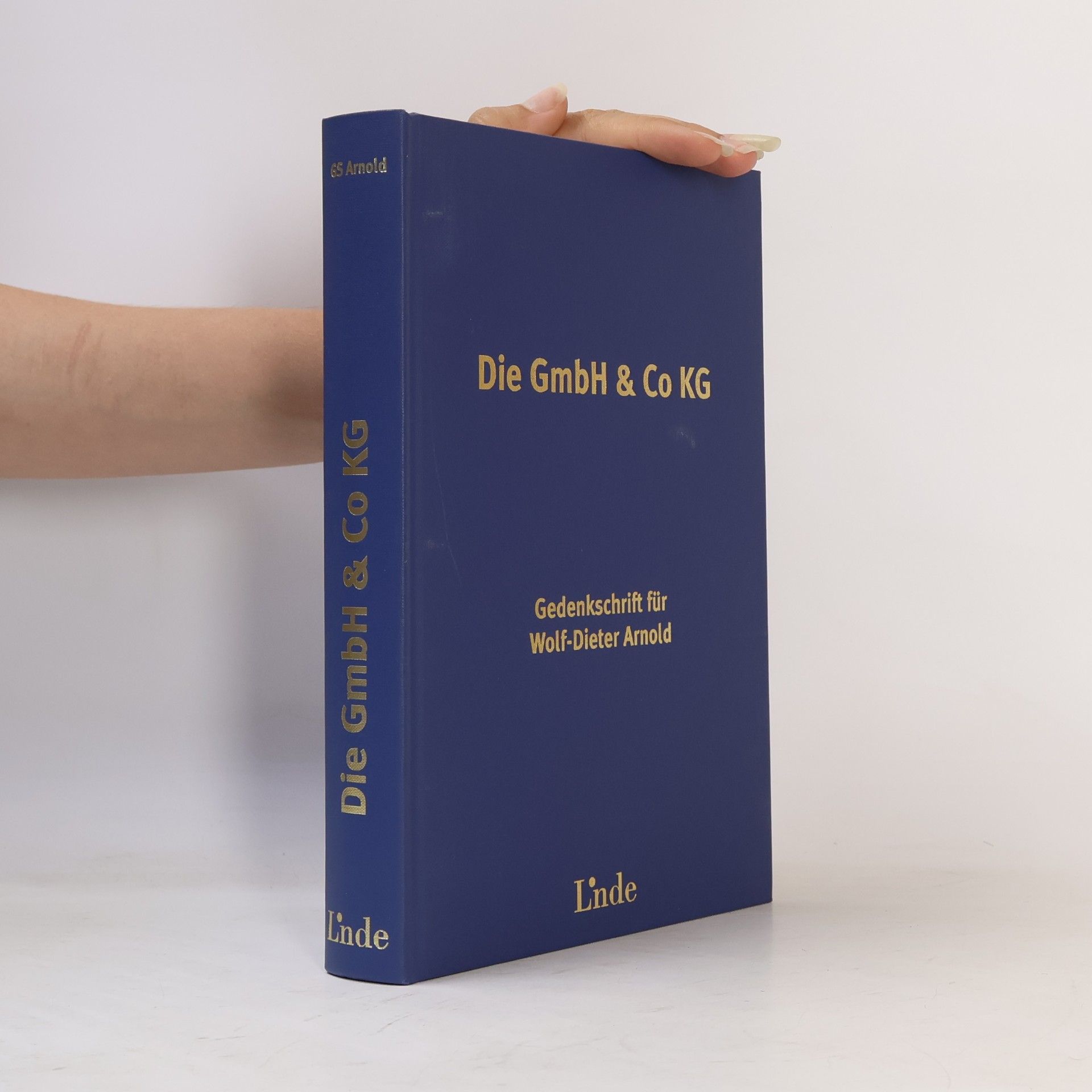 Die GmbH & Co KG
