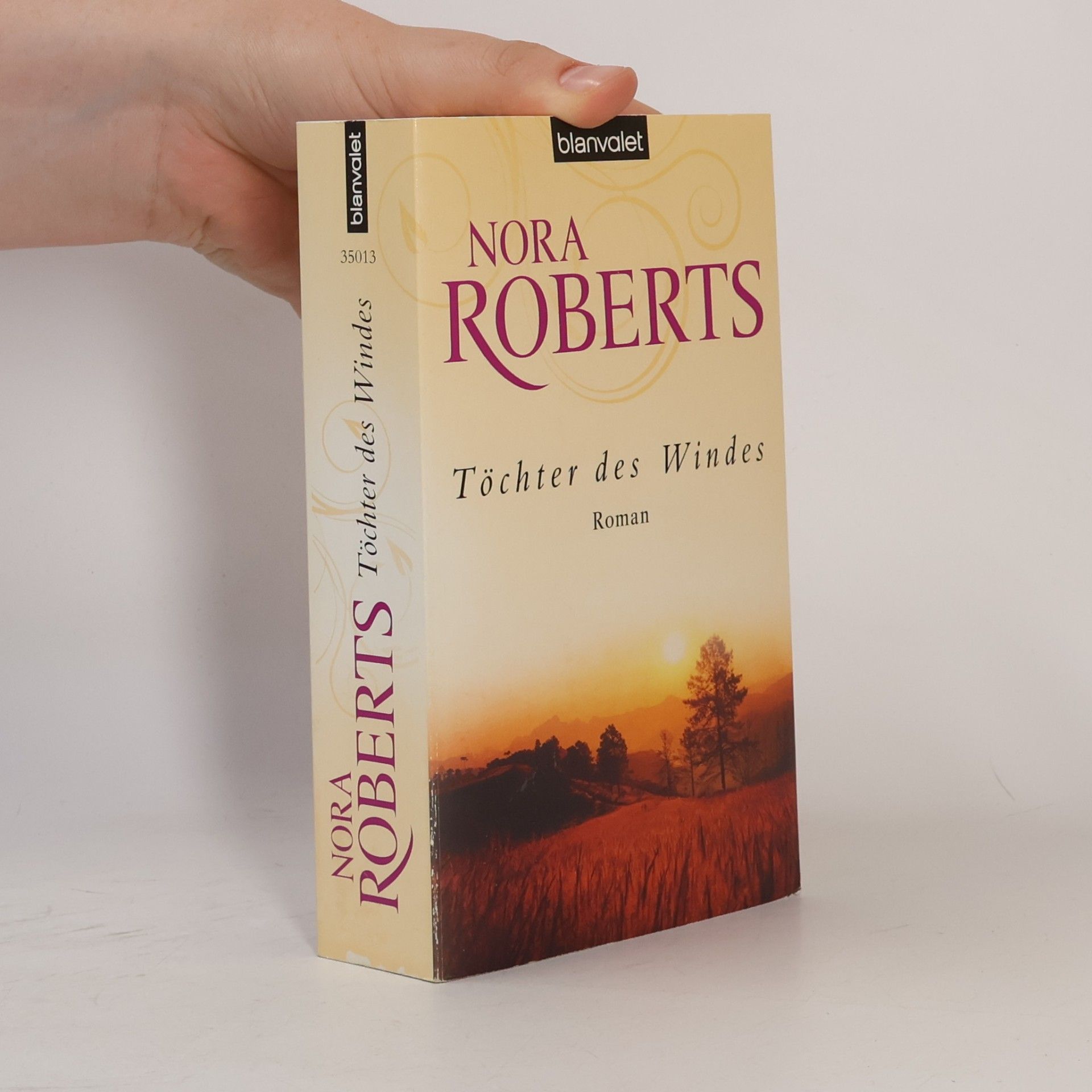 Nora Roberts Töchter des Windes