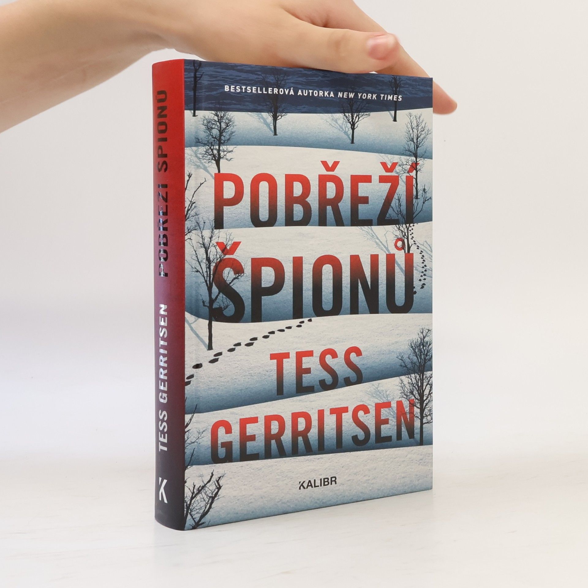 Tess Gerritsen Pobřeží špionů