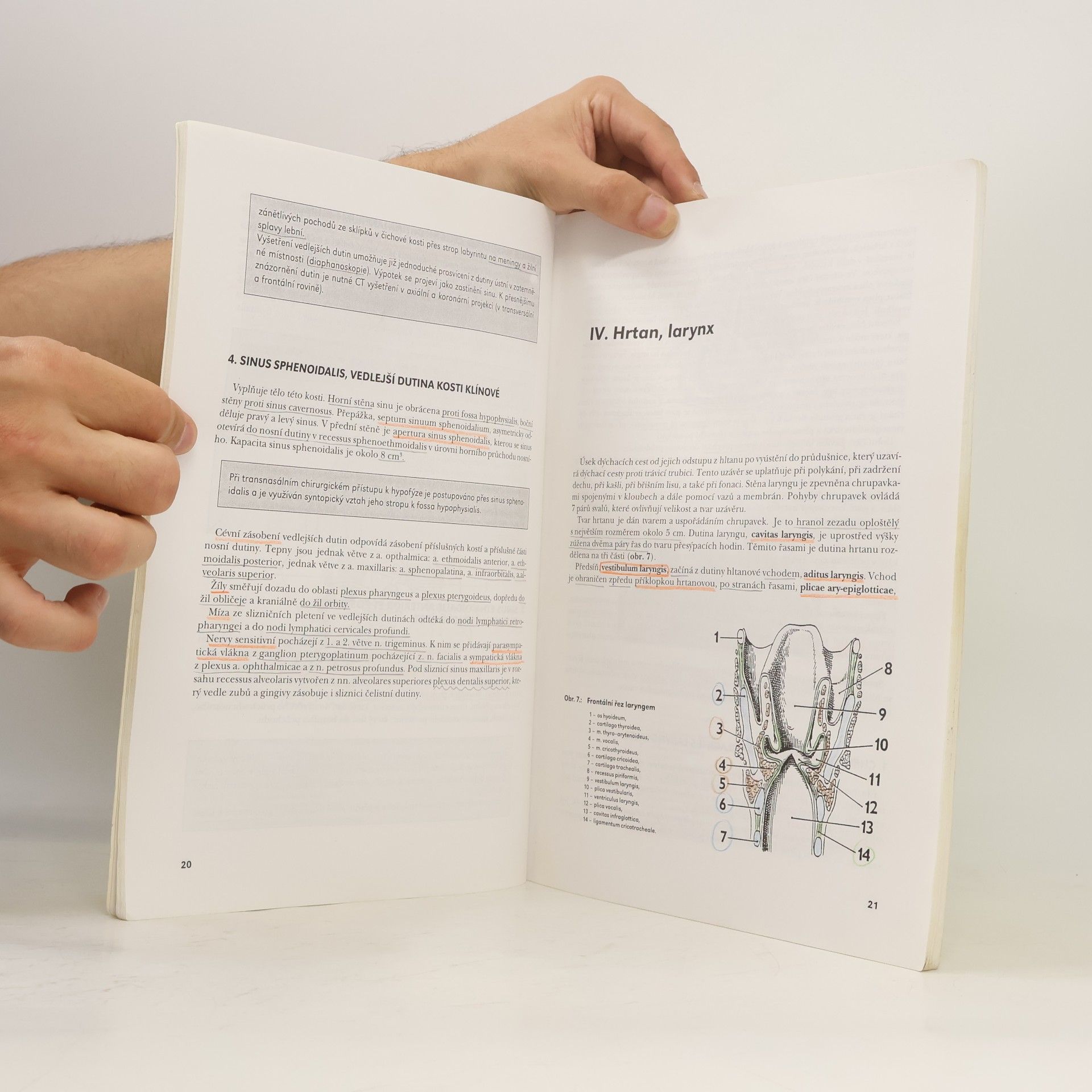 Miloš Grim Systematická, topografická a klinická anatomie V. Dýchací ústrojí