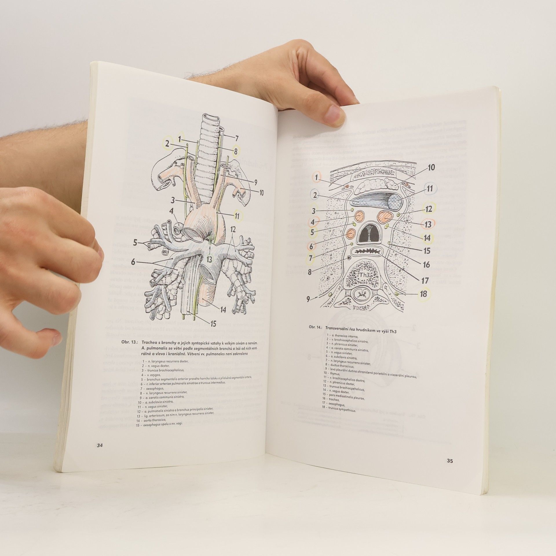 Miloš Grim Systematická, topografická a klinická anatomie V. Dýchací ústrojí