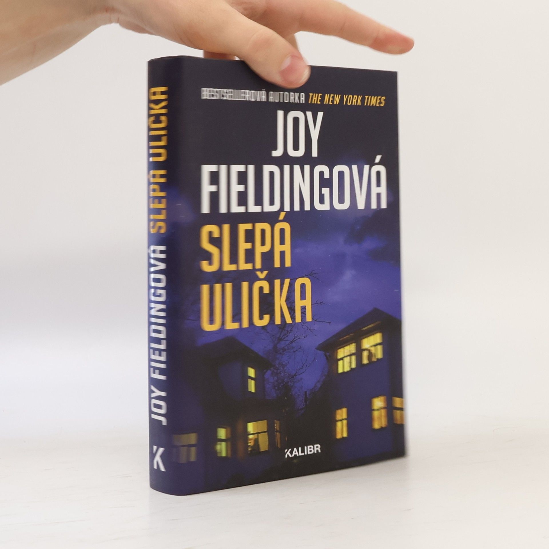 Joy Fielding Slepá ulička