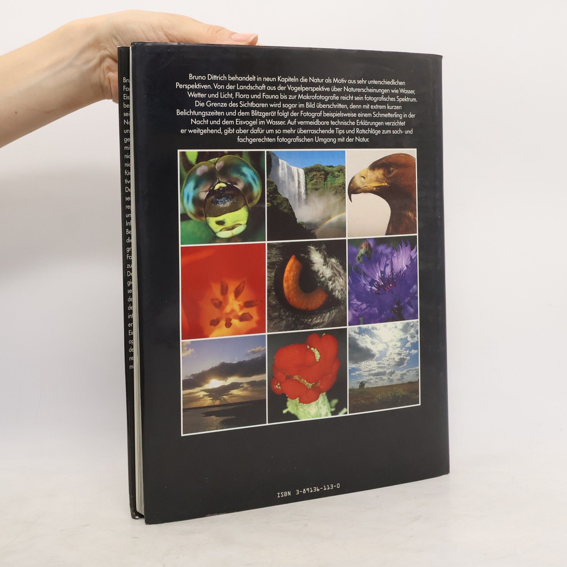 Dittrich Bruno Natur-Fotografie