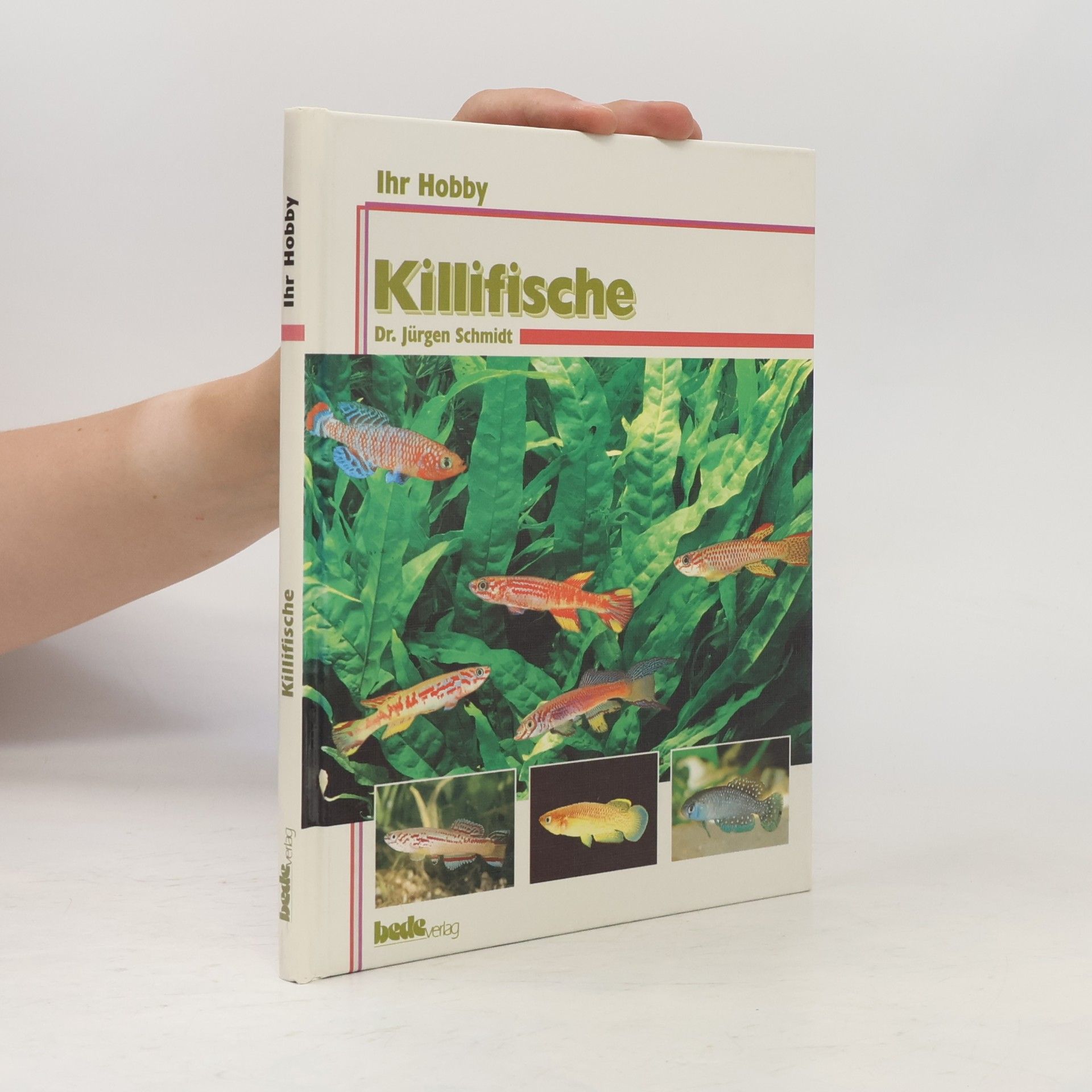 Jürgen Schmidt-Radefeldt Killifische