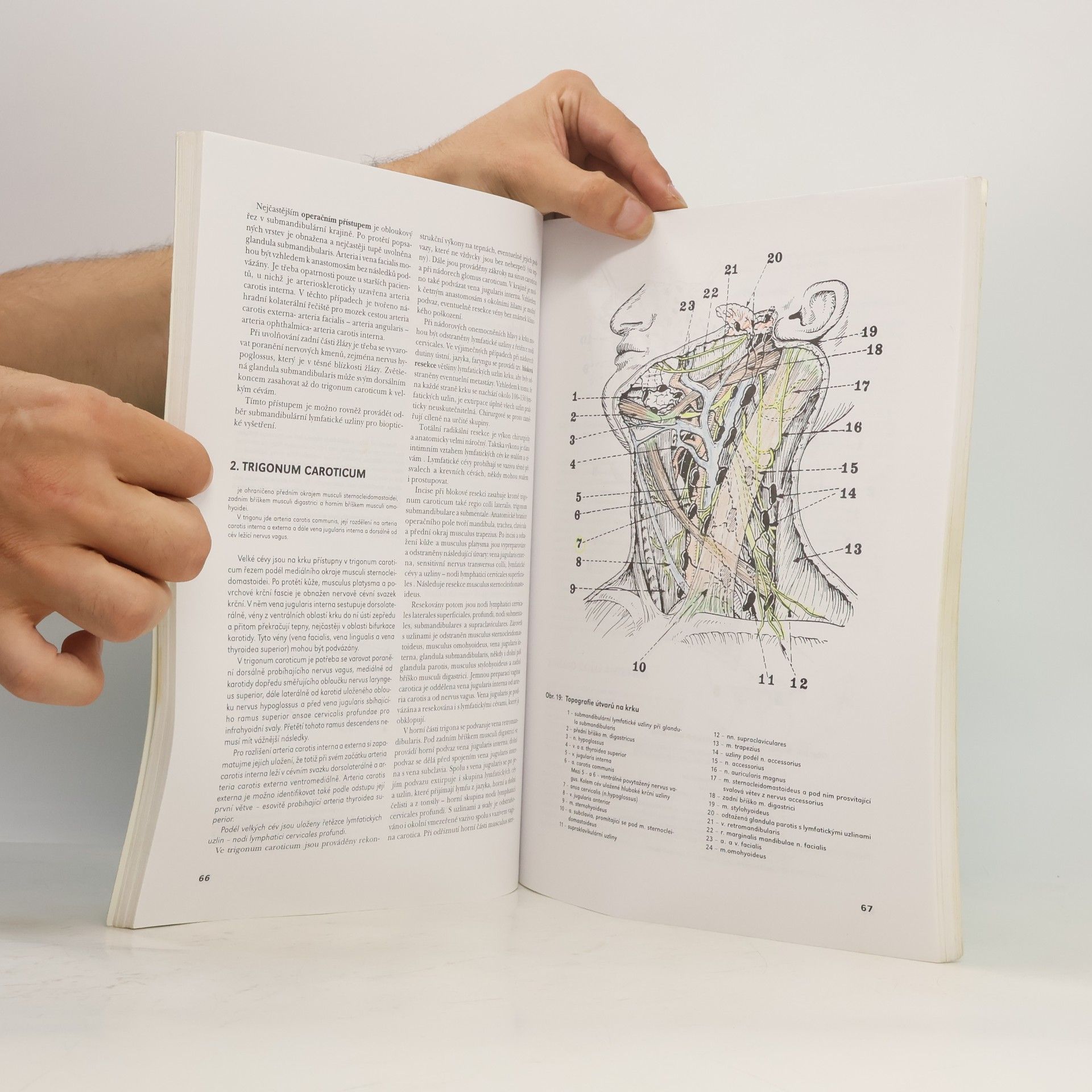 Miloslava Elišková Systematická, topografická a klinická anatomie. XI., Kůže a chirurgické přístupy