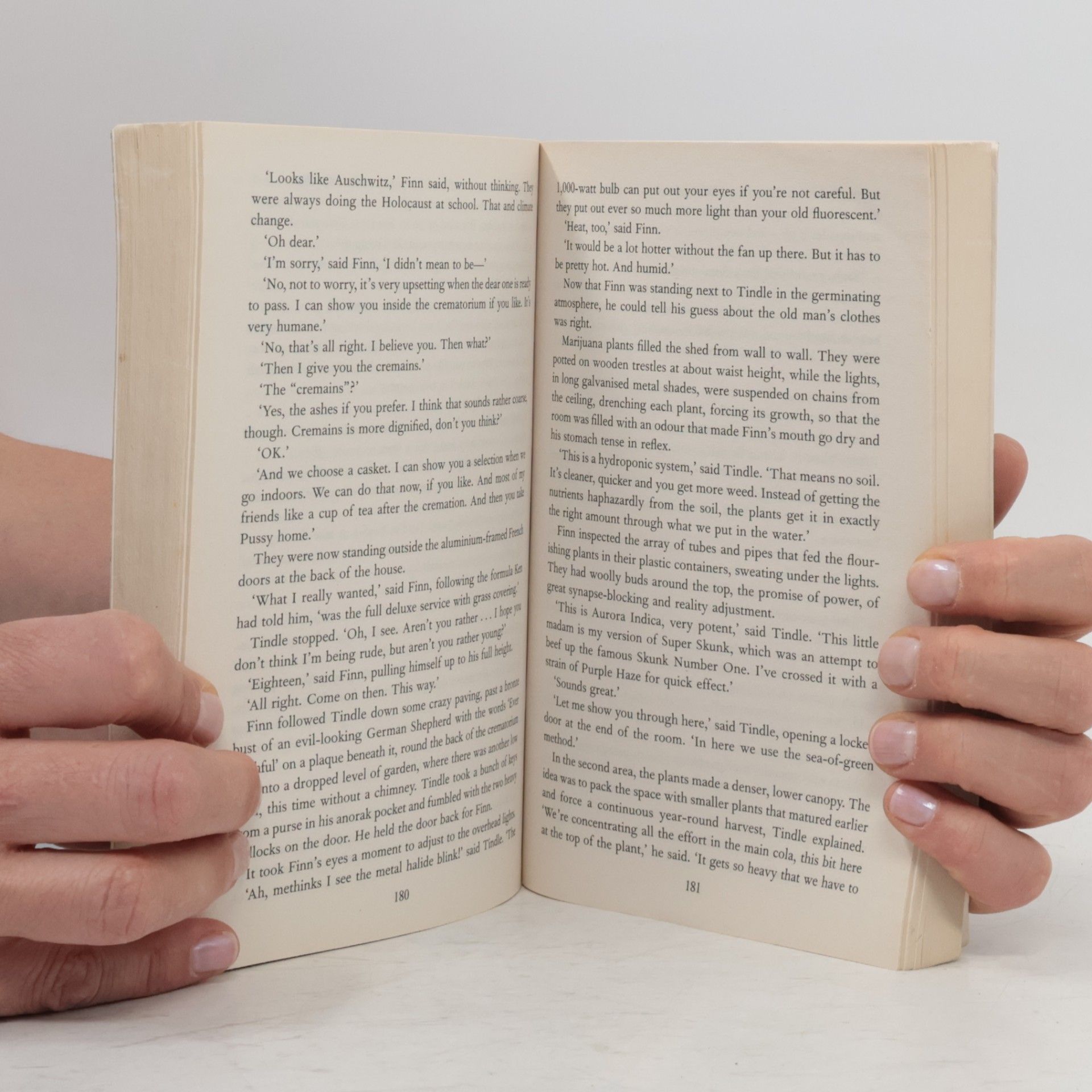 Sebastian Faulks A Week in December