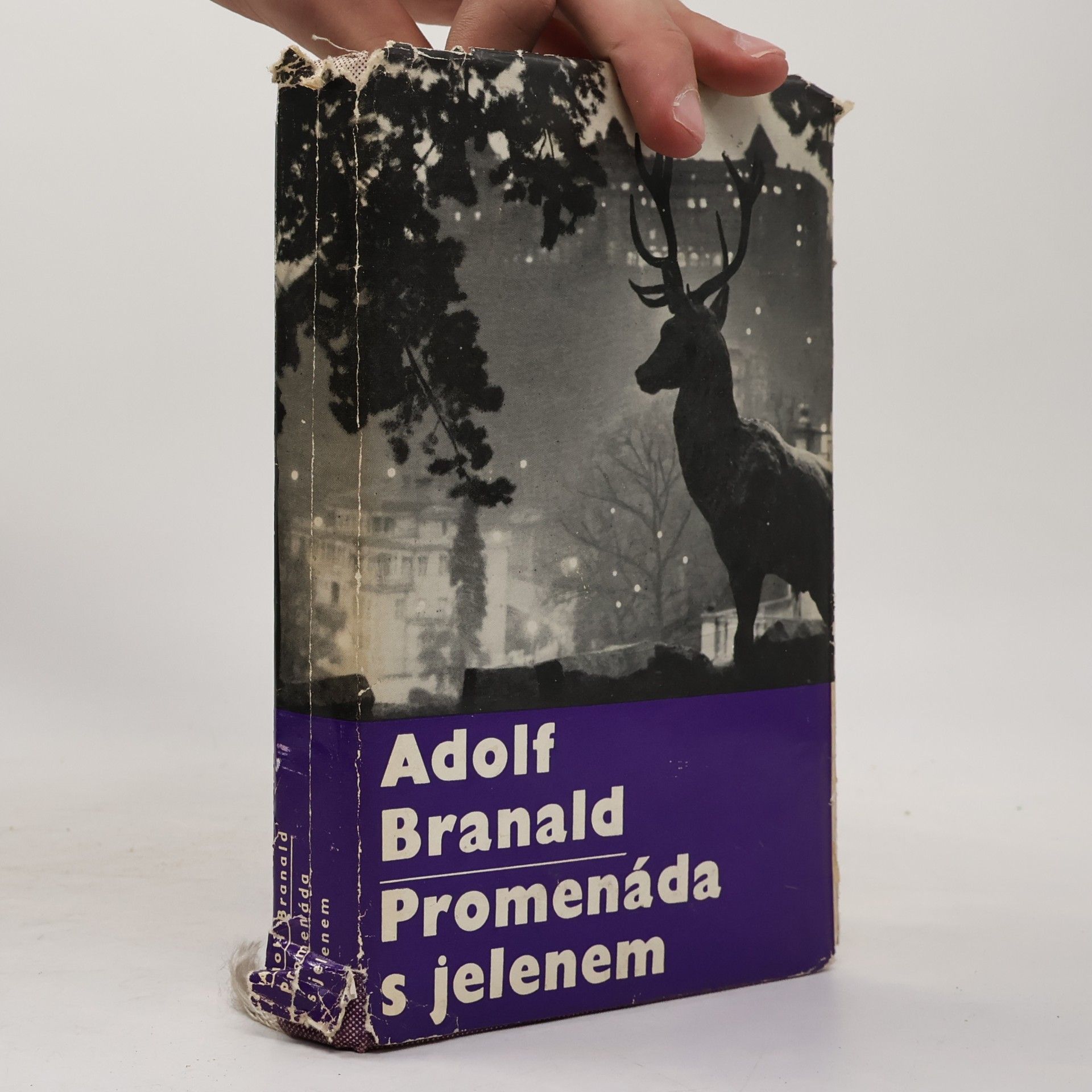 Adolf Branald Promenáda s jelenem