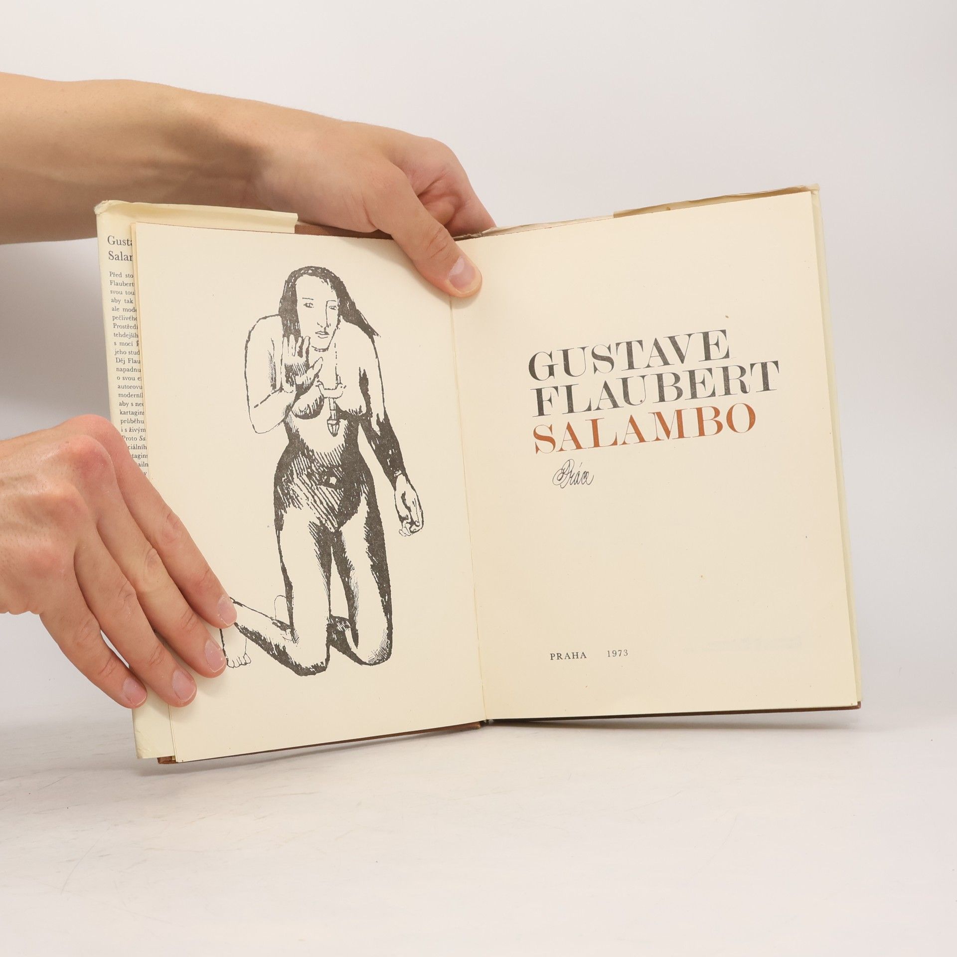 Gustave Flaubert Salambo