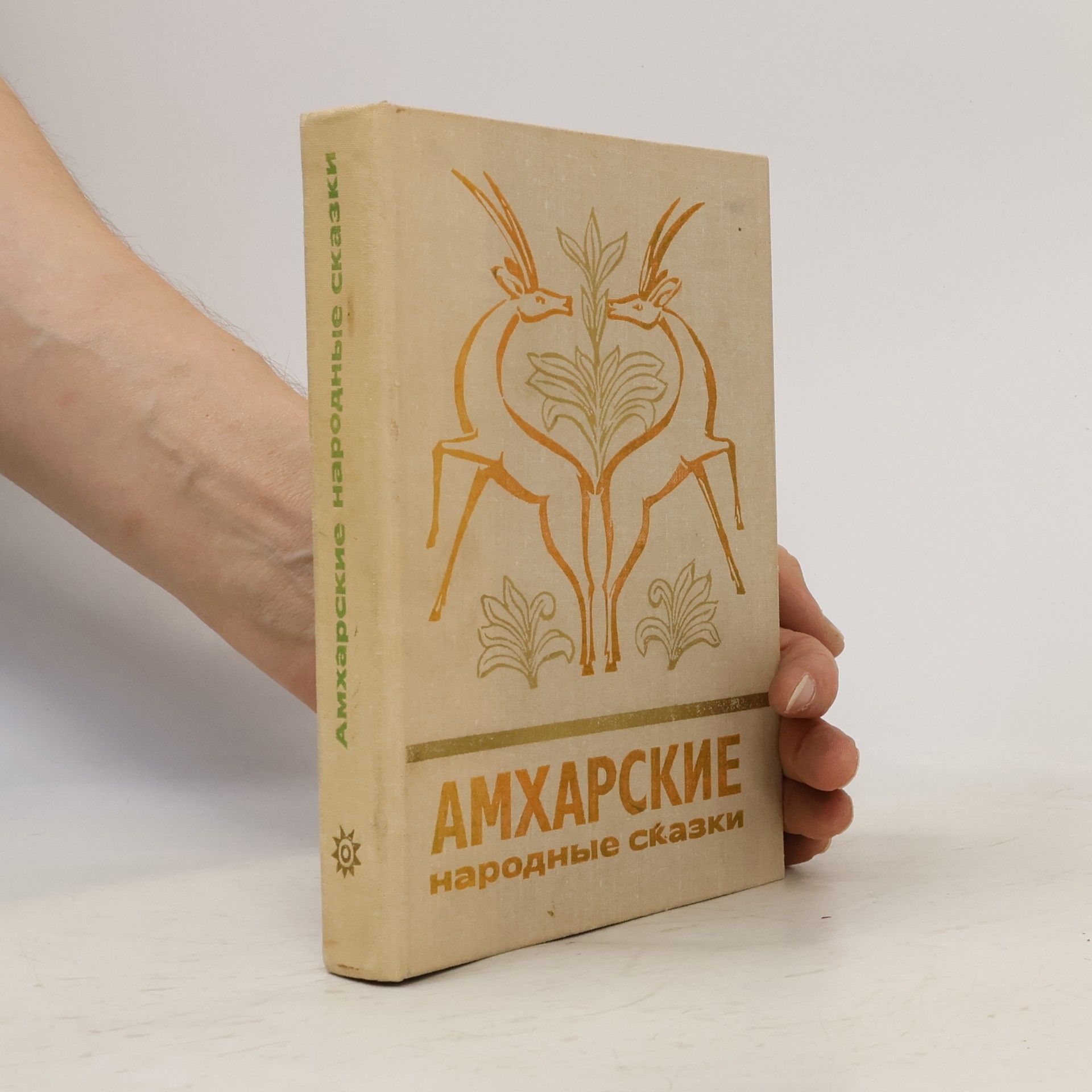 Autorenkollektiv Амхарские народные сказки