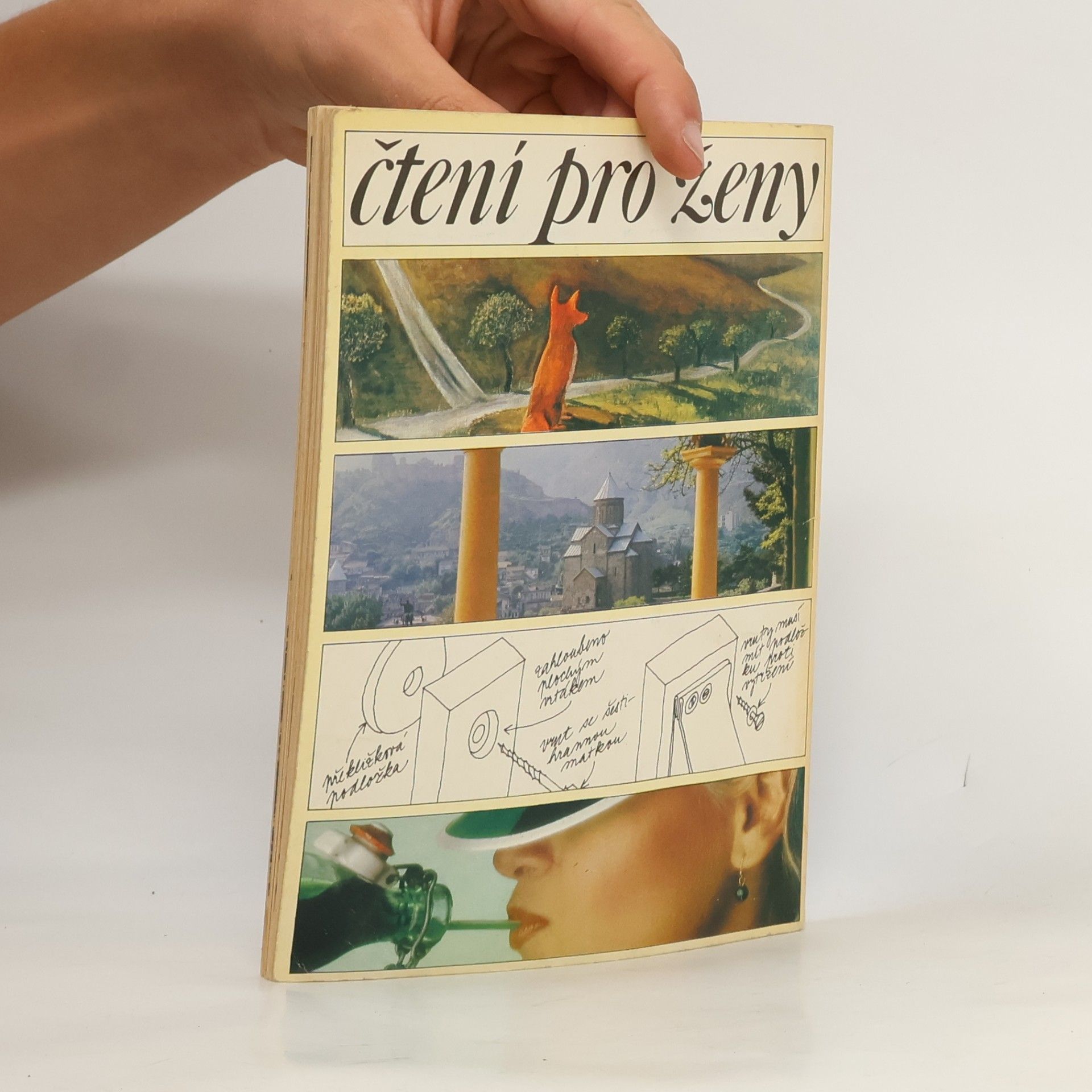 Kolektív autorov Čtení pro ženy. Léto '81