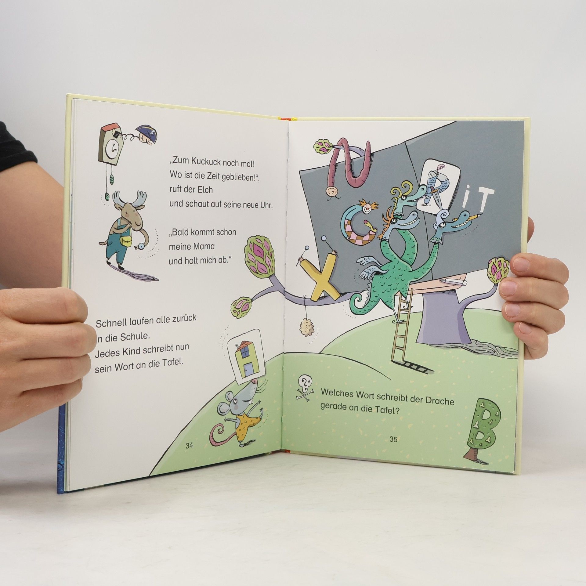 Ulrike Kaup Der Bücherbär: Der Buchstabenpirat