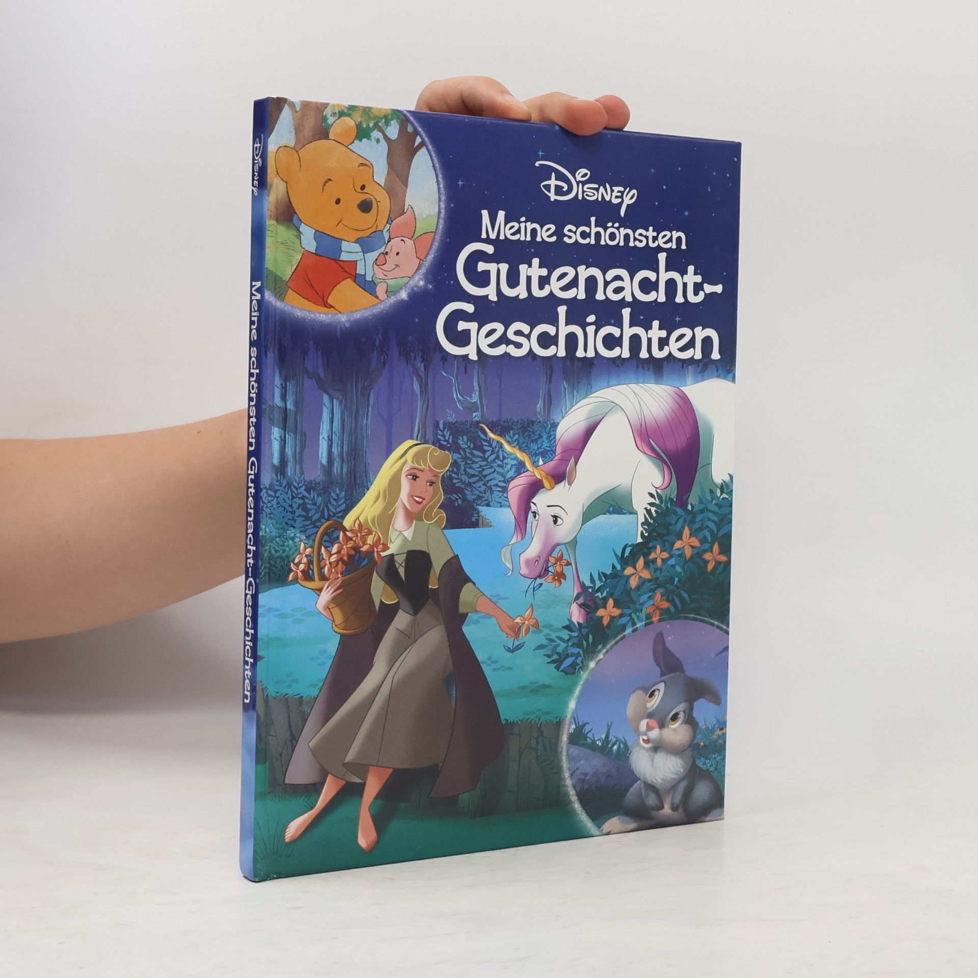 Kolektiv autorů Disney - Meine schönsten Gutenacht-Geschichten