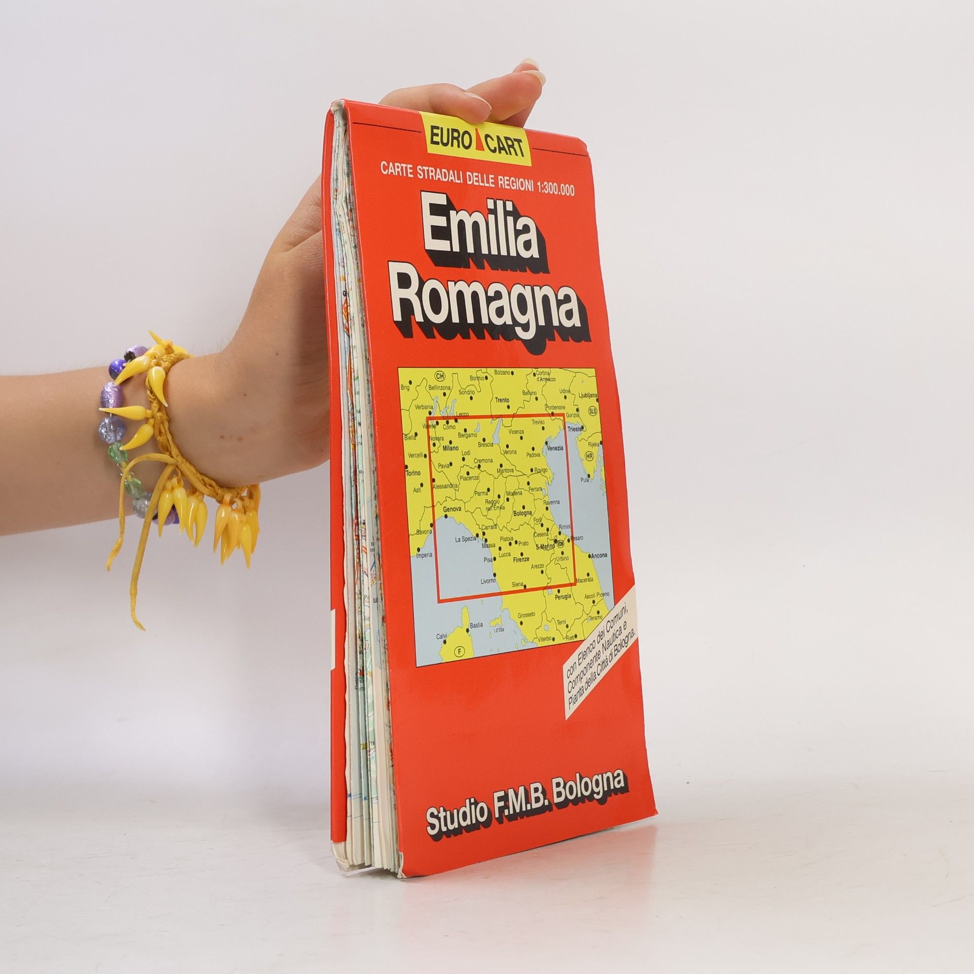 GeoData (Firm) Carte stradali delle regioni 1