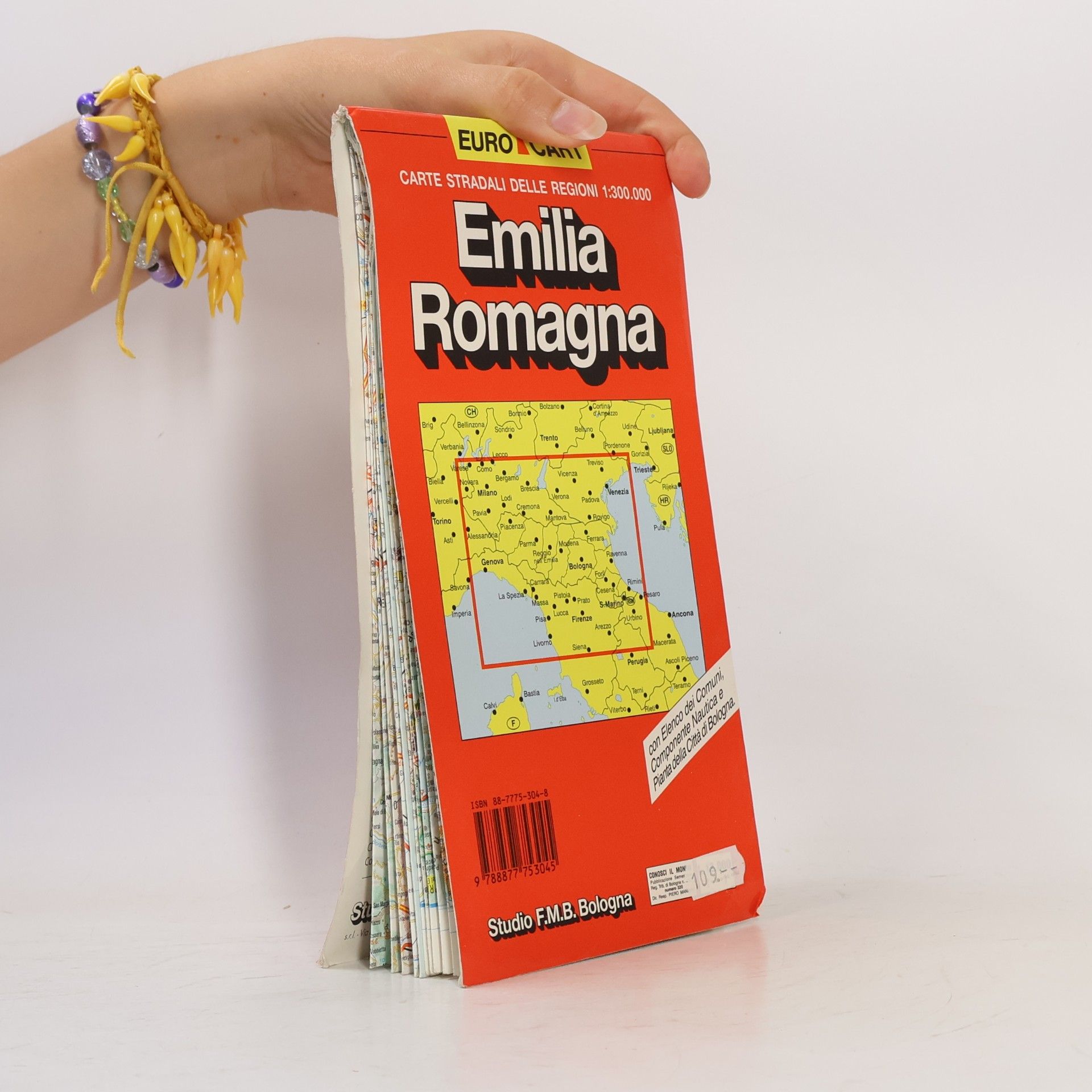 GeoData (Firm) Carte stradali delle regioni 1