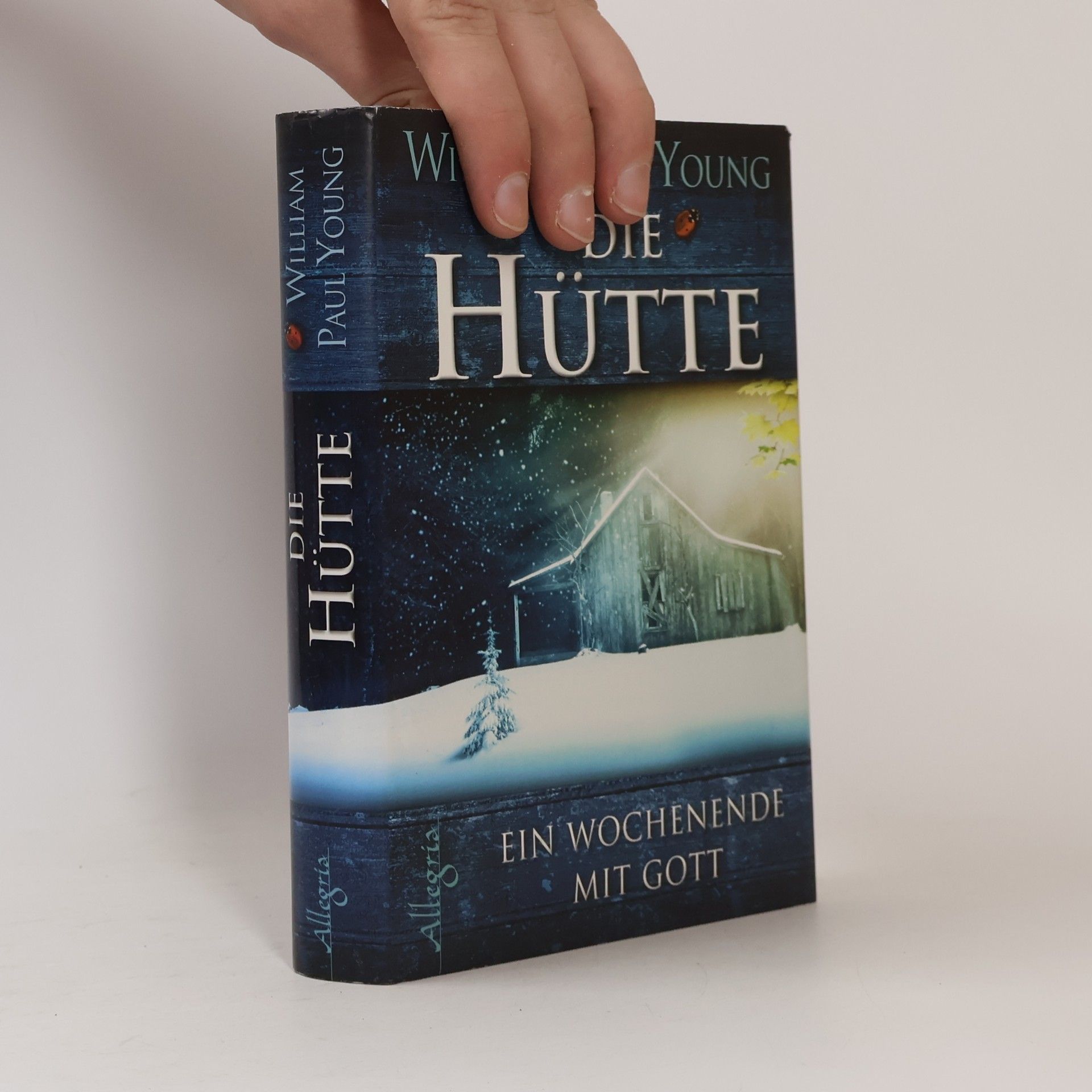 William P. Young Die Hütte