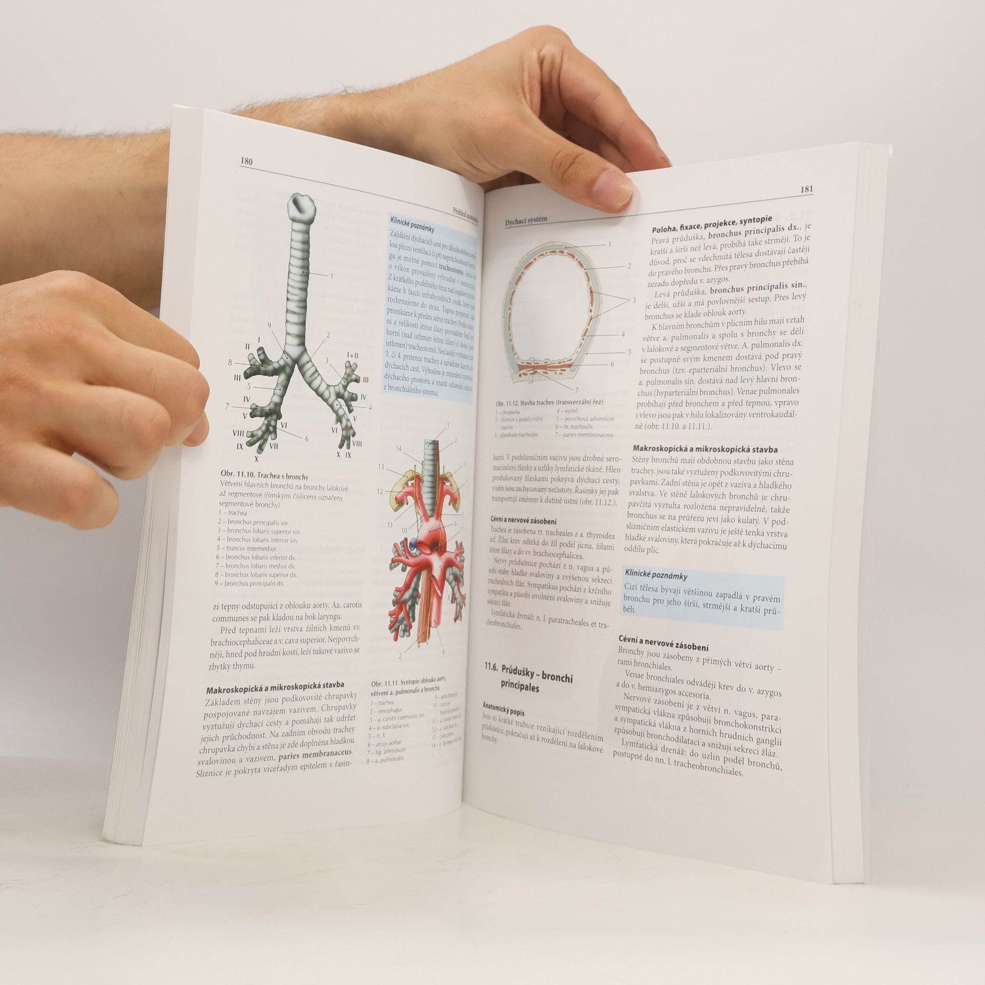 Ondřej Naňka Přehled anatomie