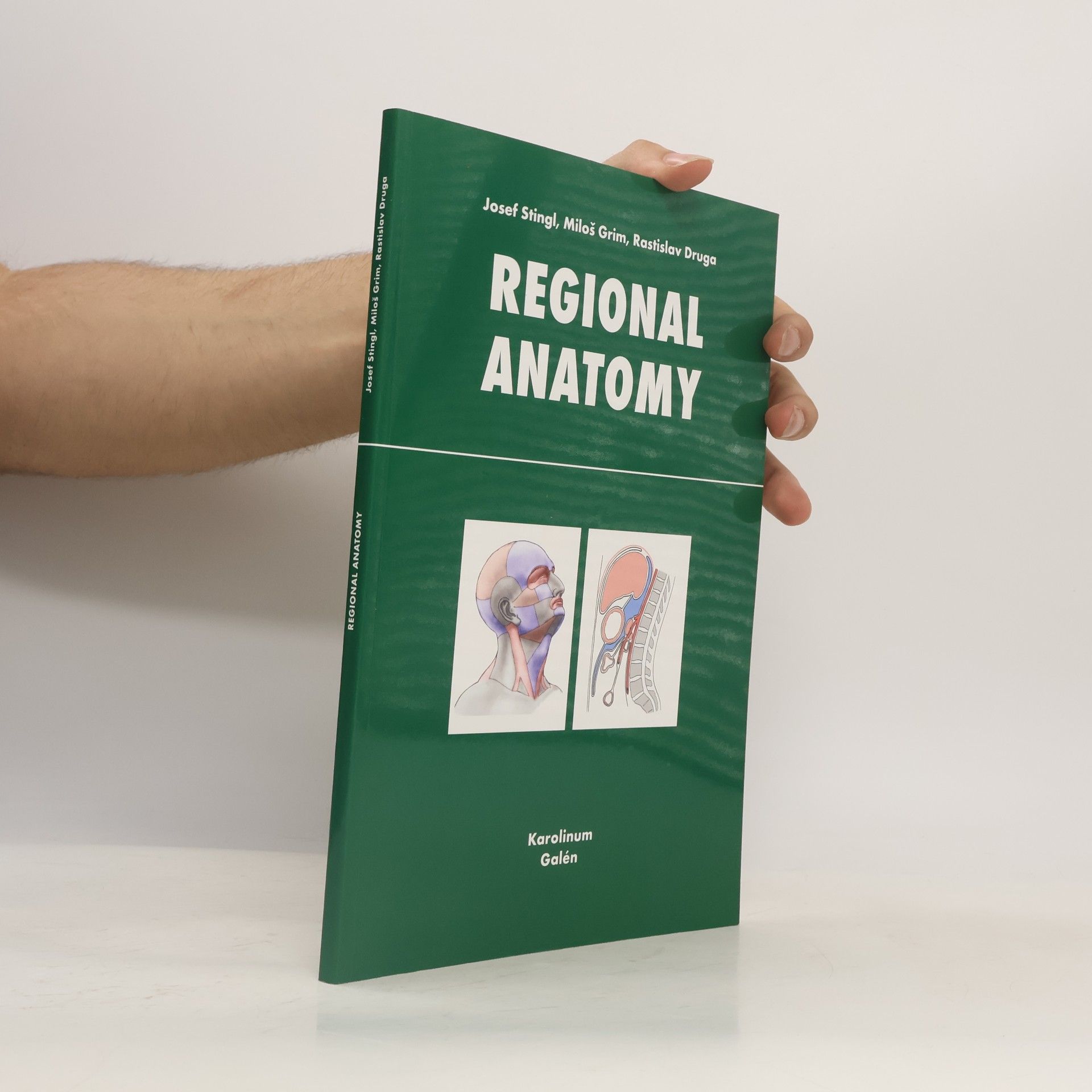 Josef Stingl Regional Anatomy