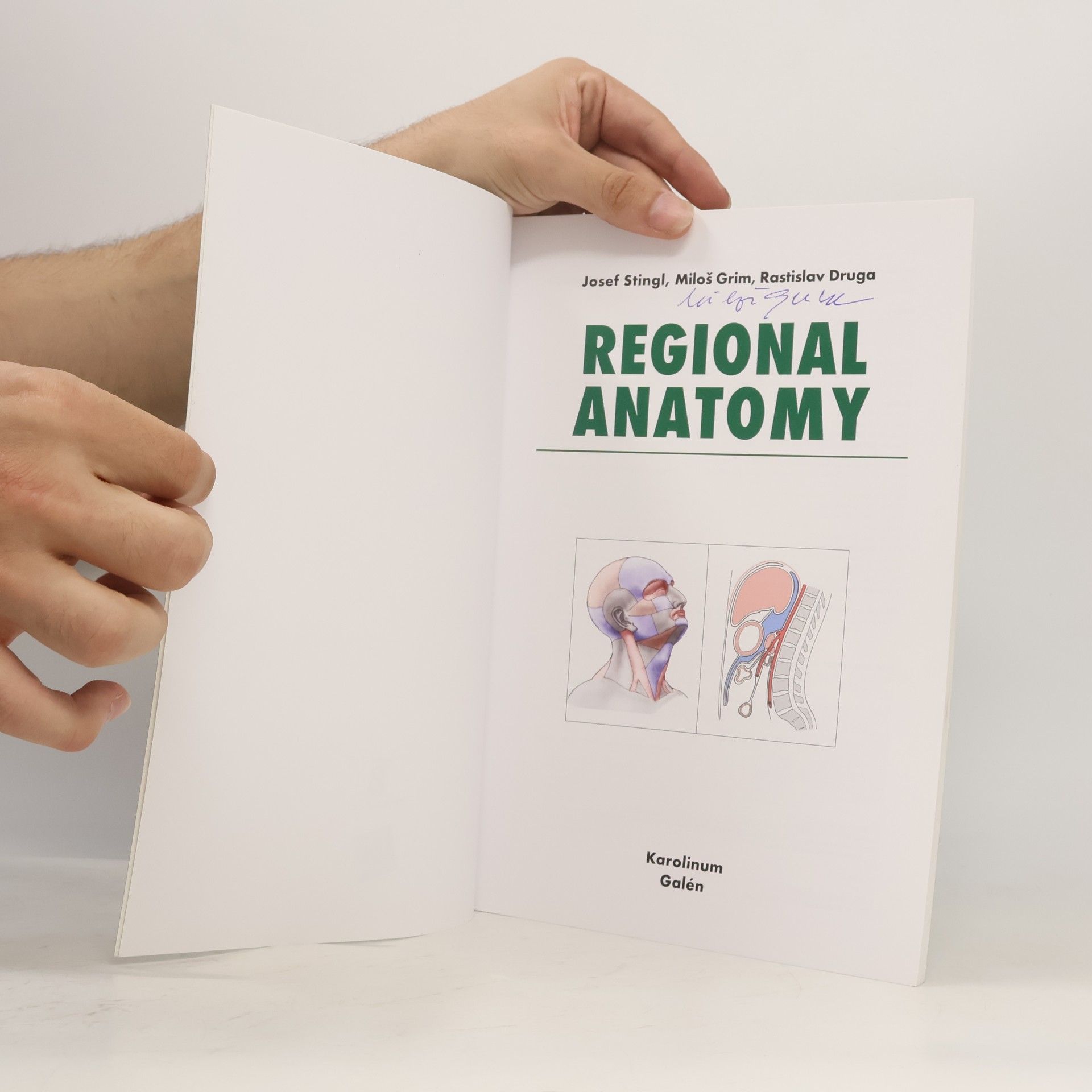 Josef Stingl Regional Anatomy