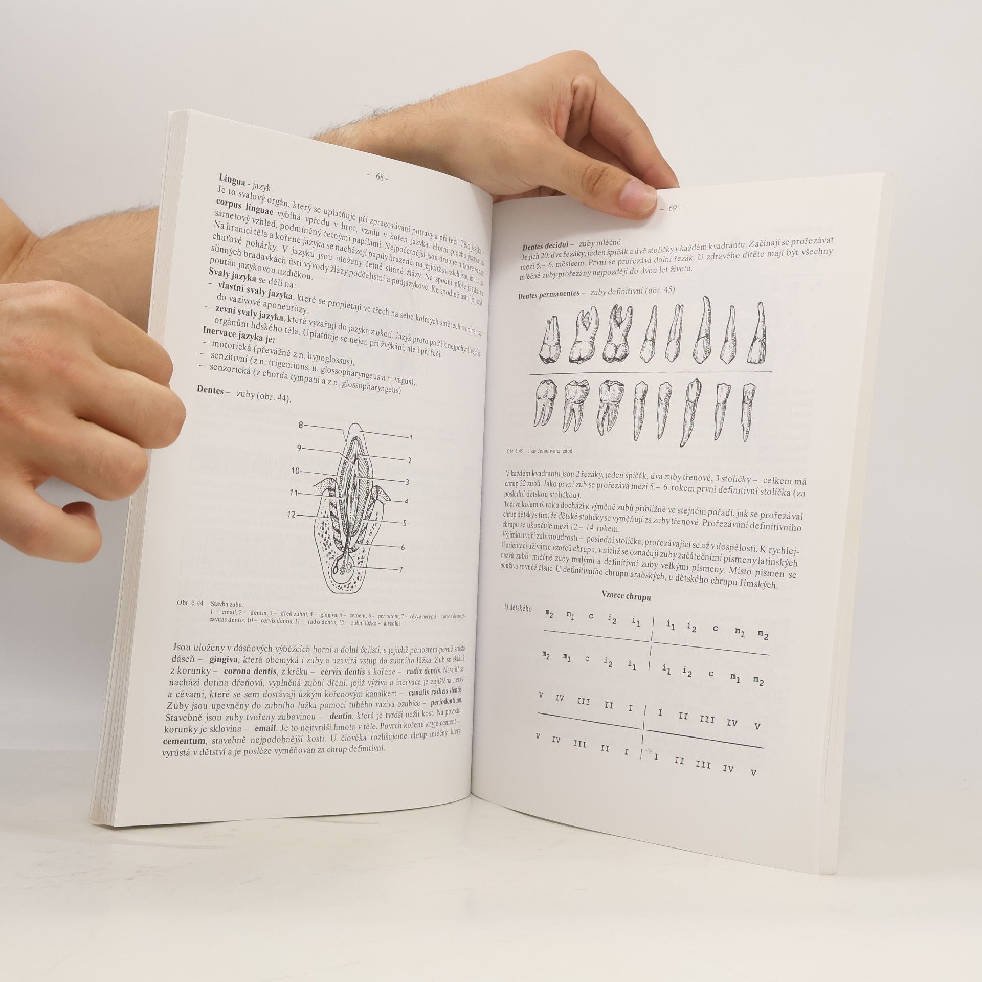 Univerzita Palackého Lékařská fakulta Přehled anatomie člověka