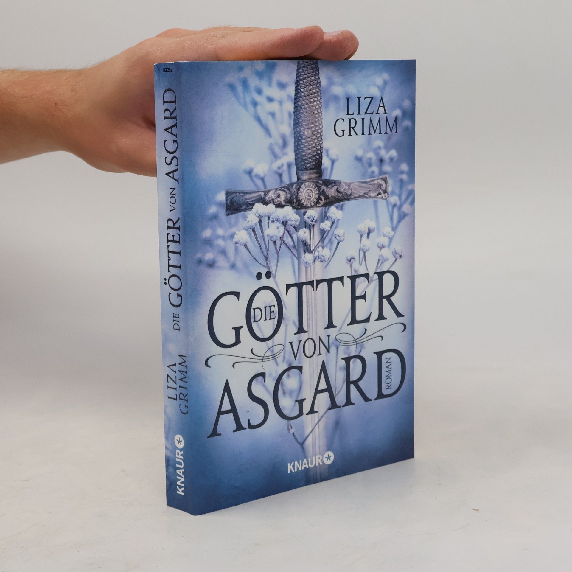Die Götter von Asgard