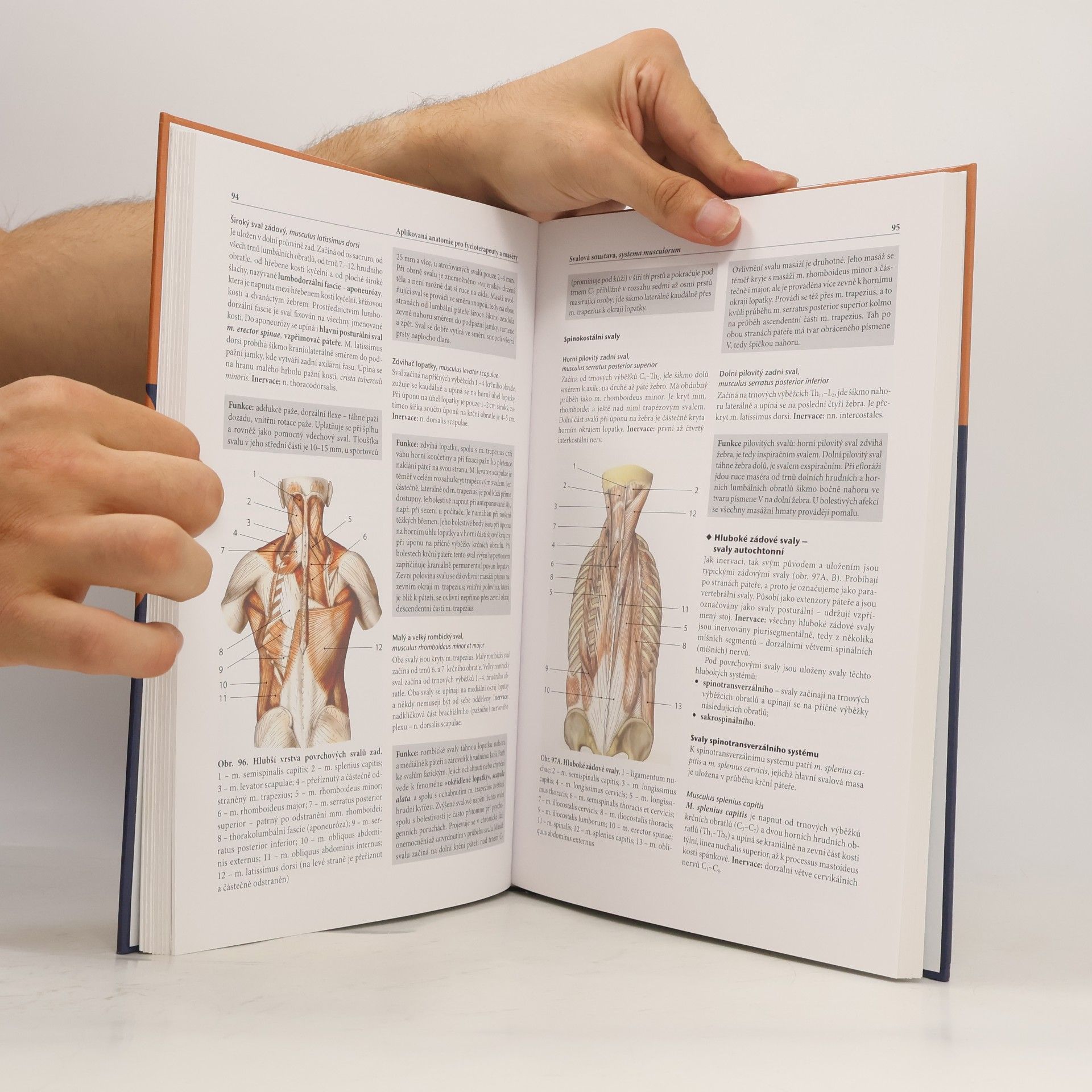 Oldřich Eliška Aplikovaná anatomie pro fyzioterapeuty a maséry