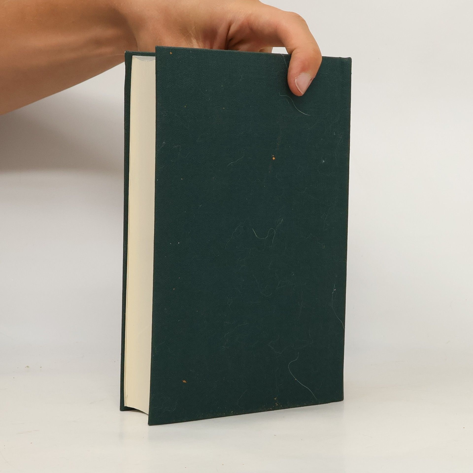Arthur Schopenhauer Werke in zwei Bänden 2