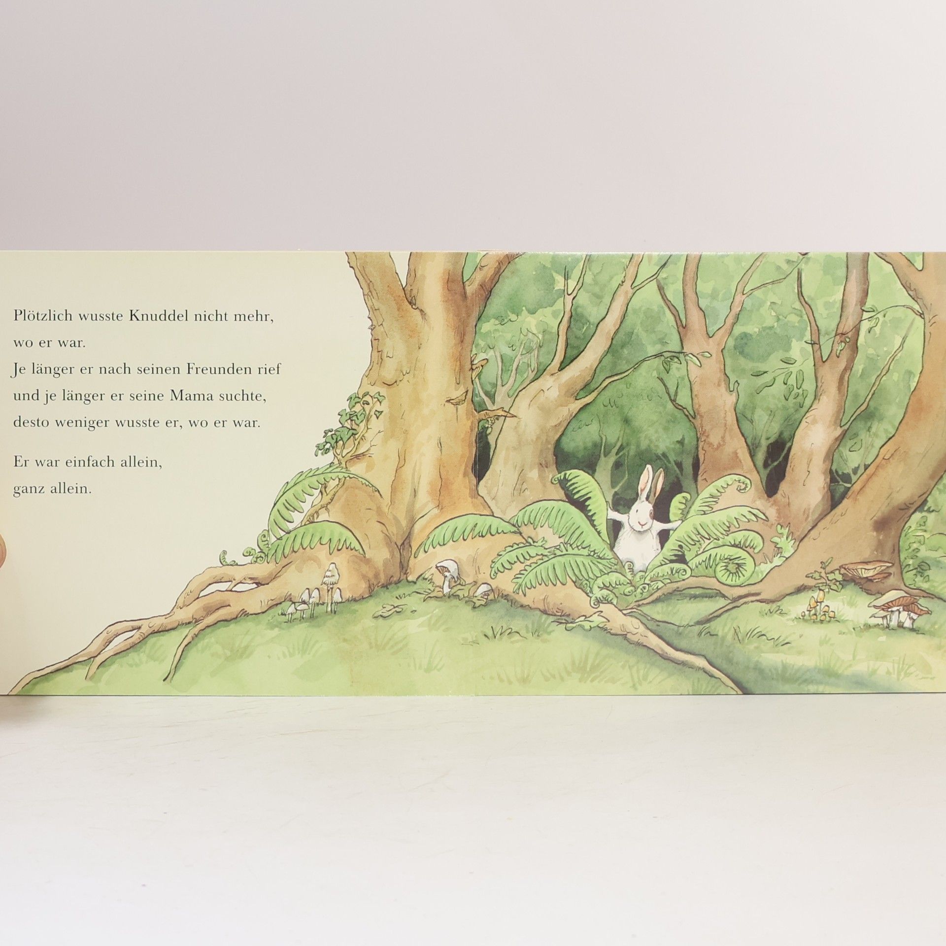 Anita Jeram Knuddelhase