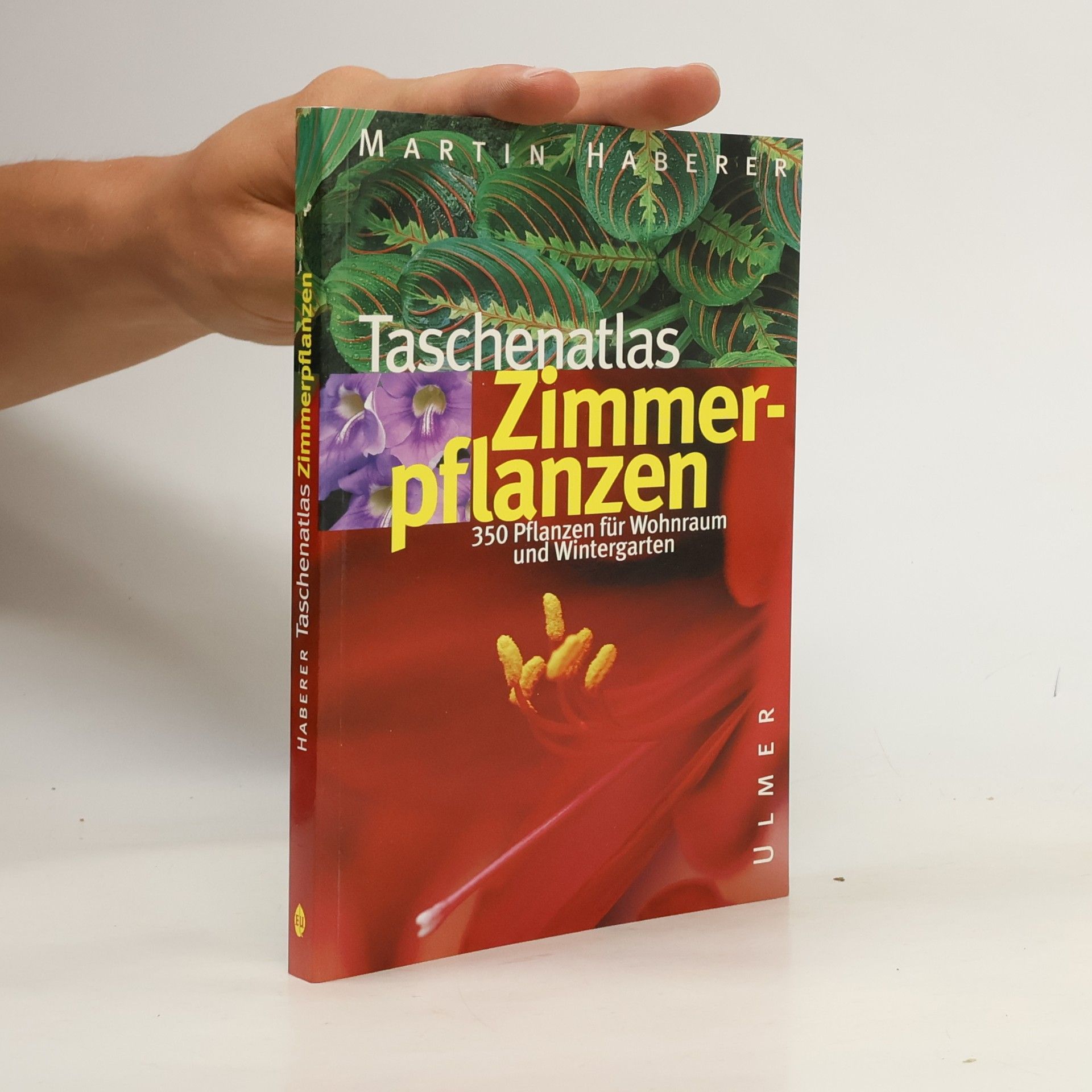 Martin Haberer Taschenatlas Zimmerpflanzen