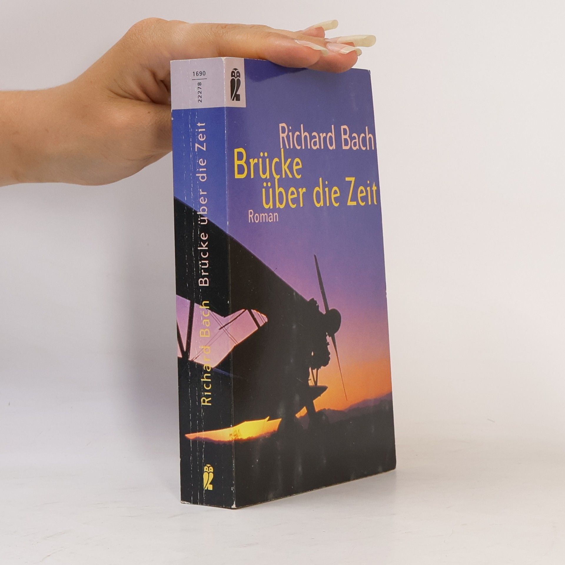 Richard Bach Brücke über die Zeit