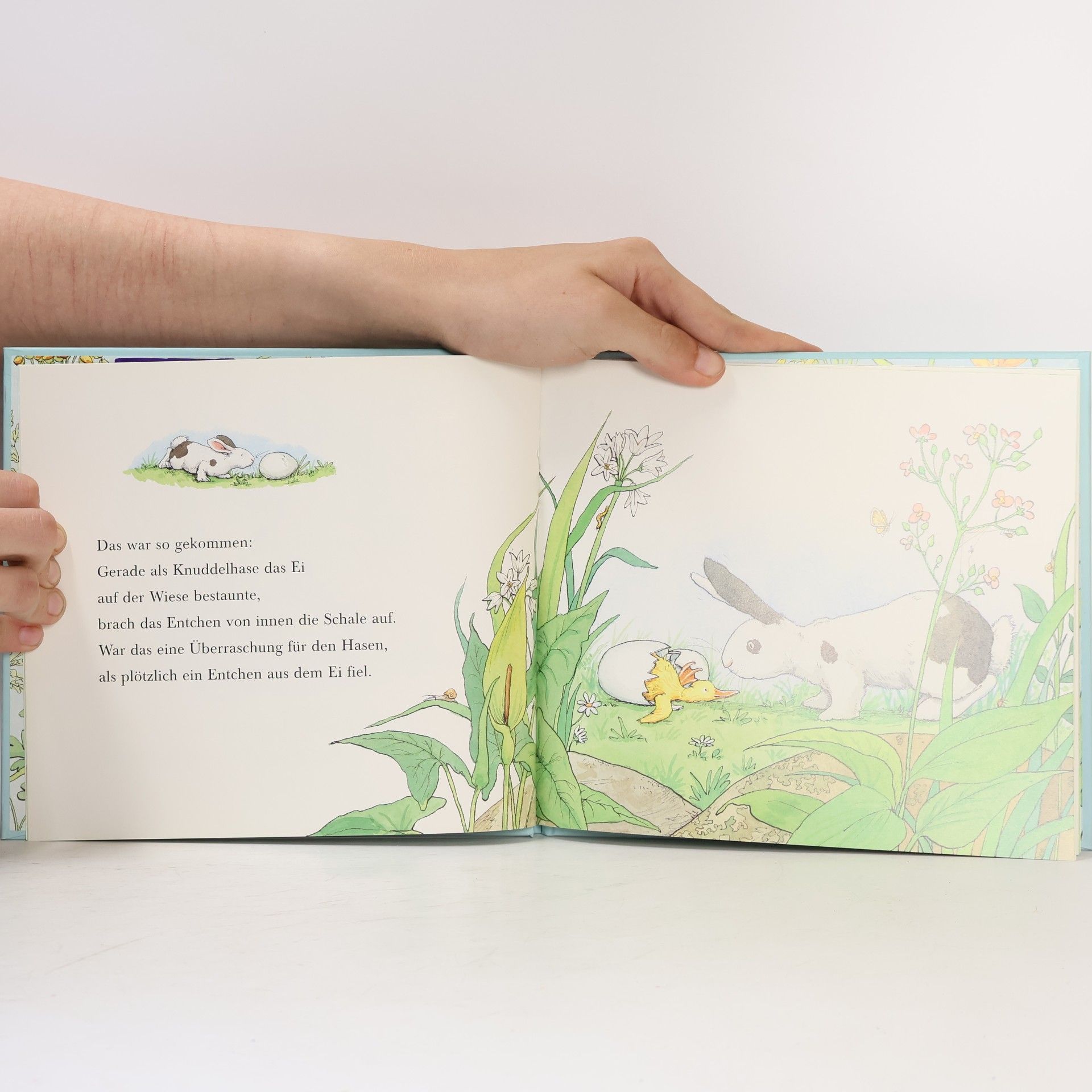 Anita Jeram Alle meine Knuddelkinder