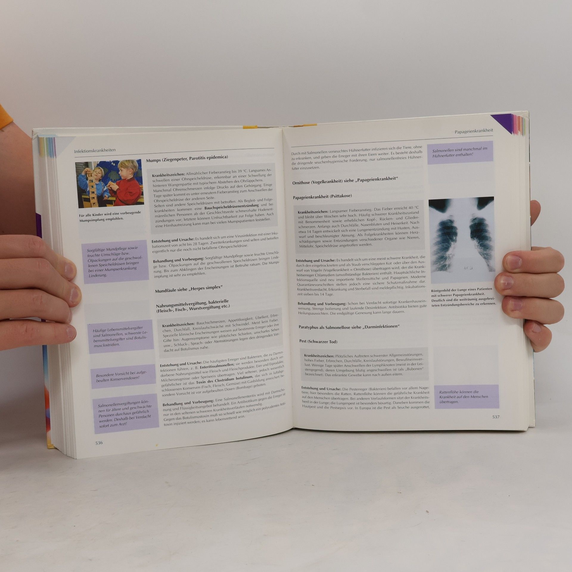 Heinrich Lucas Das Neue Grosse Gesundheitsbuch.