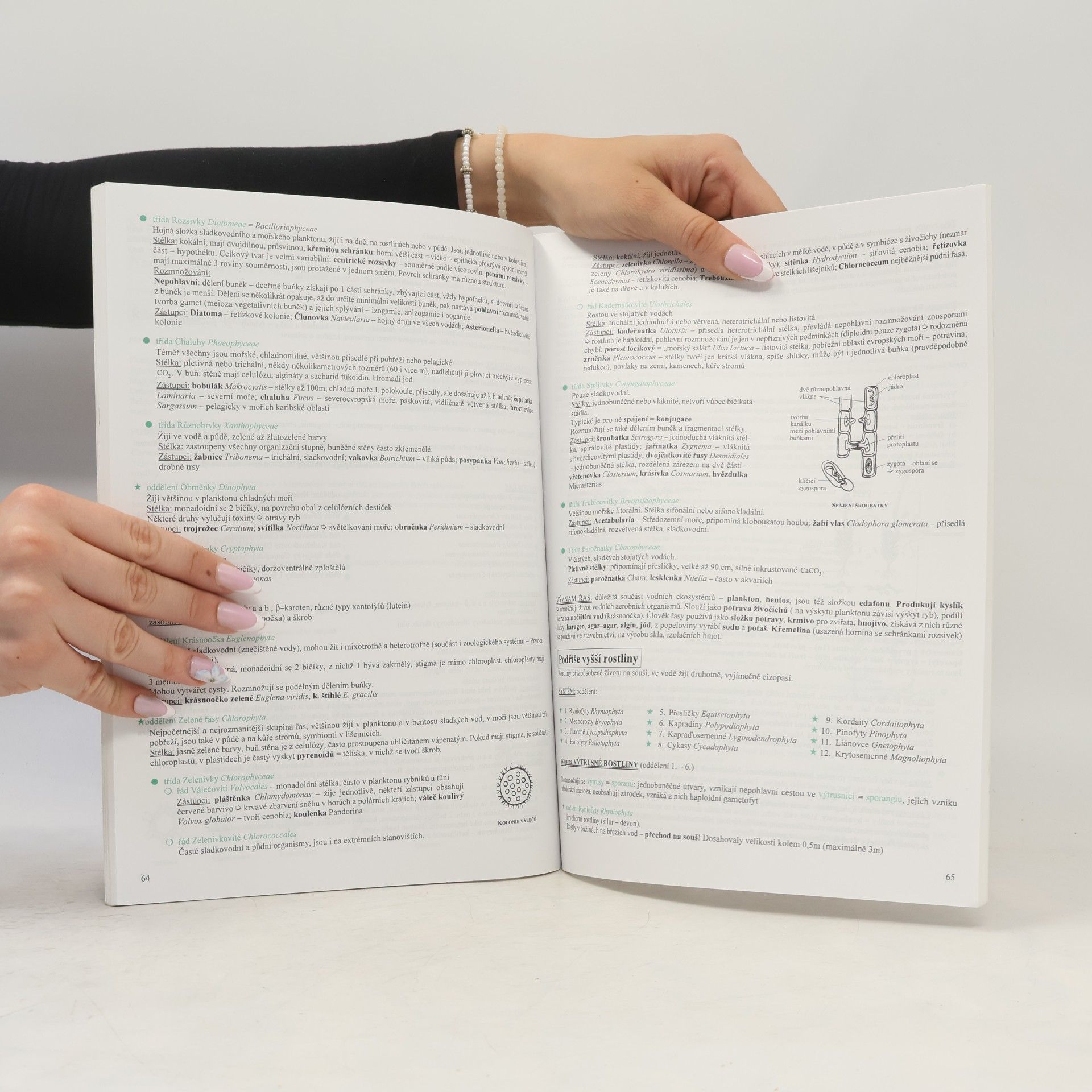 Hana Hančová Biologie v kostce. 1. díl