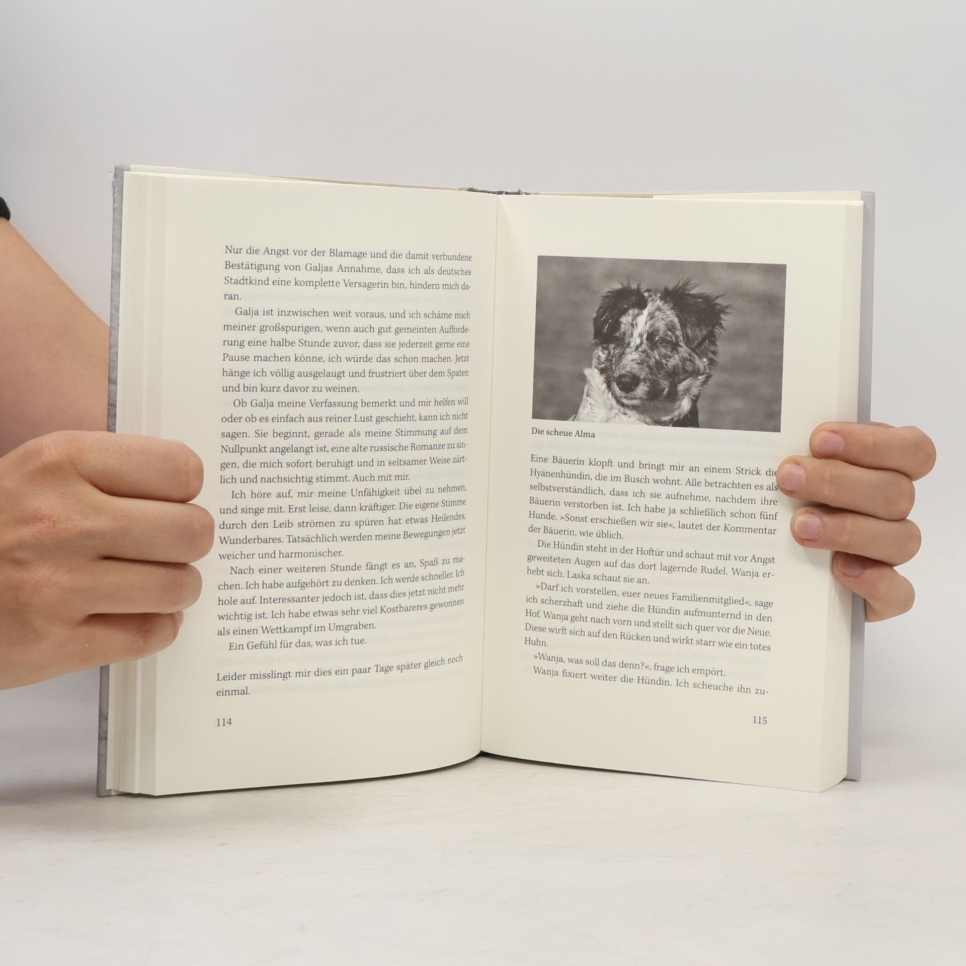 Maike Nowak Wanja und die wilden Hunde