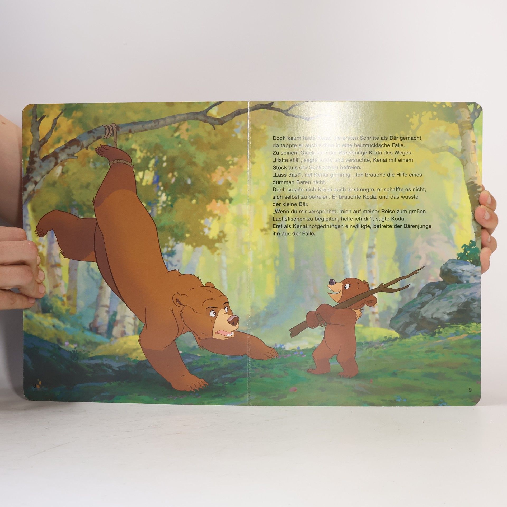 Walt Disney Disney´s Bärenbrüder