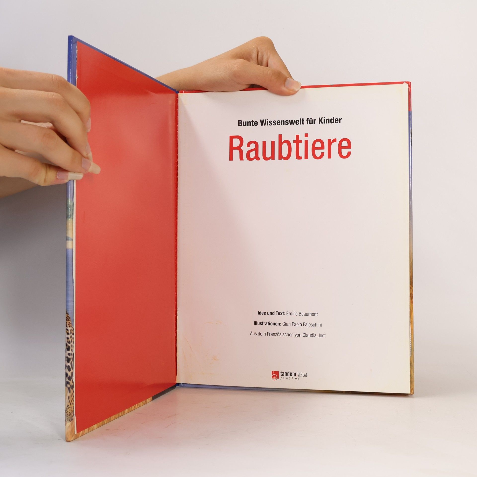 Collectif d'auteurs Bunte Wissenswelt für Kinder: Raubtiere