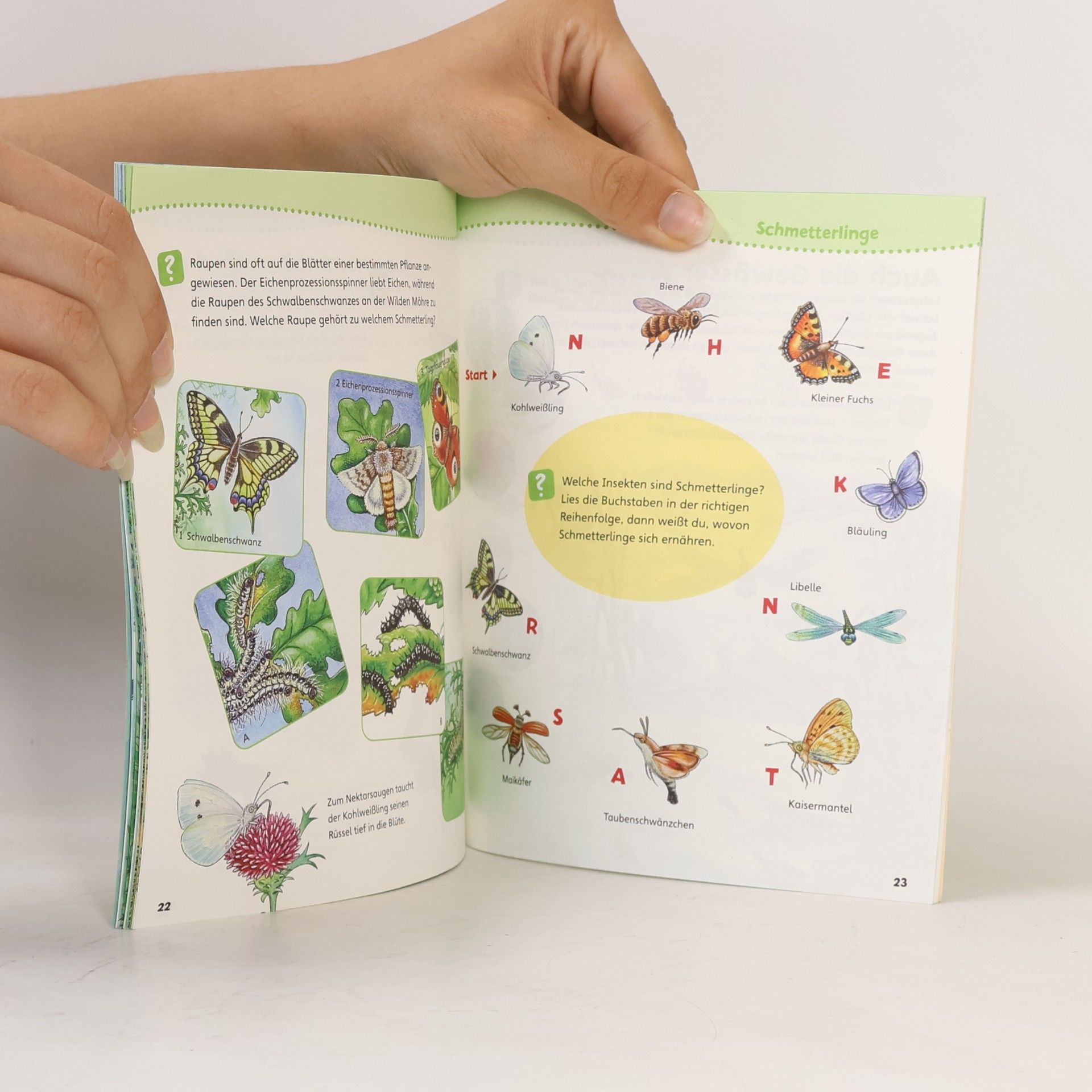 Autorenkollektiv Insekten. Wissen und Rätseln
