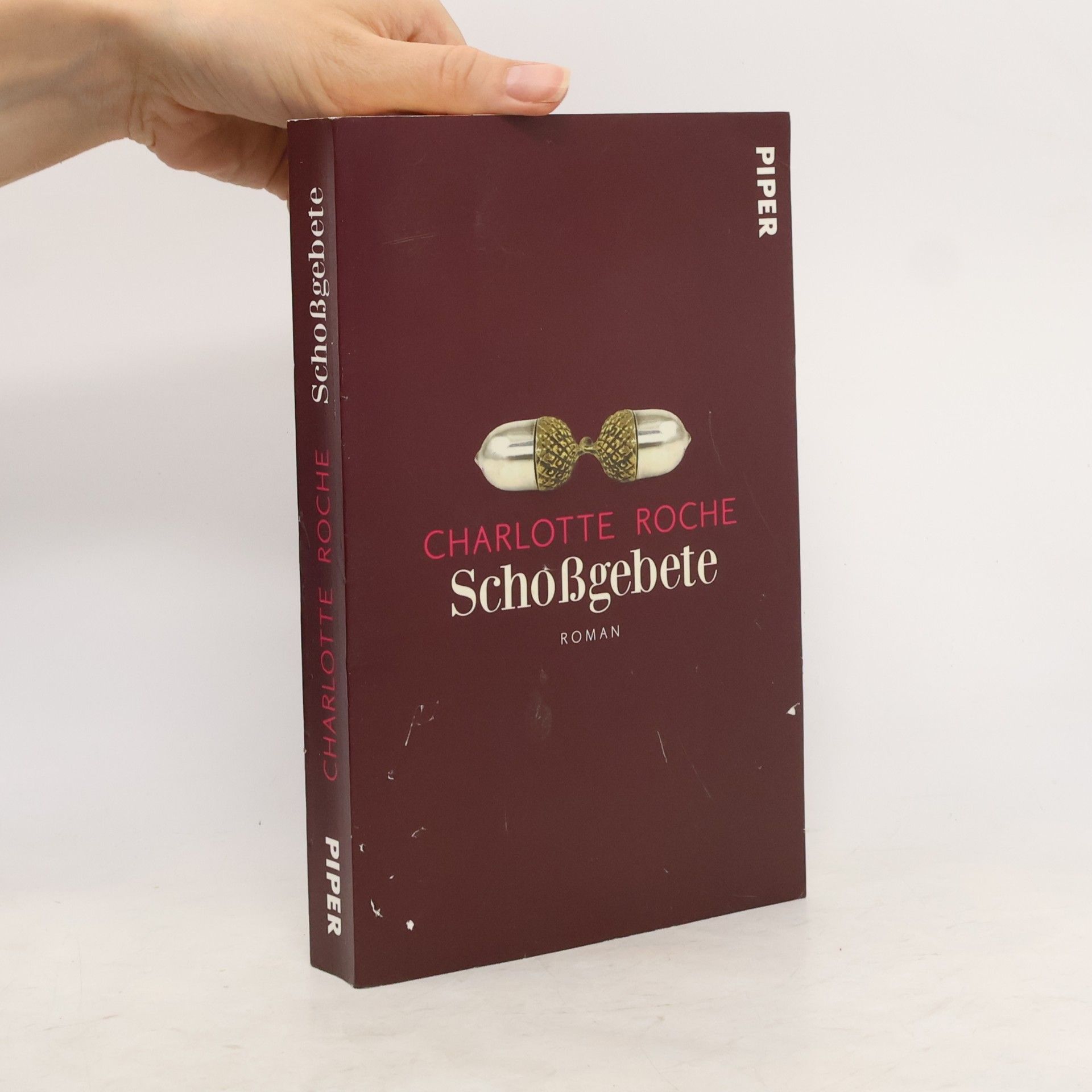 Charlotte Roche Schoßgebete