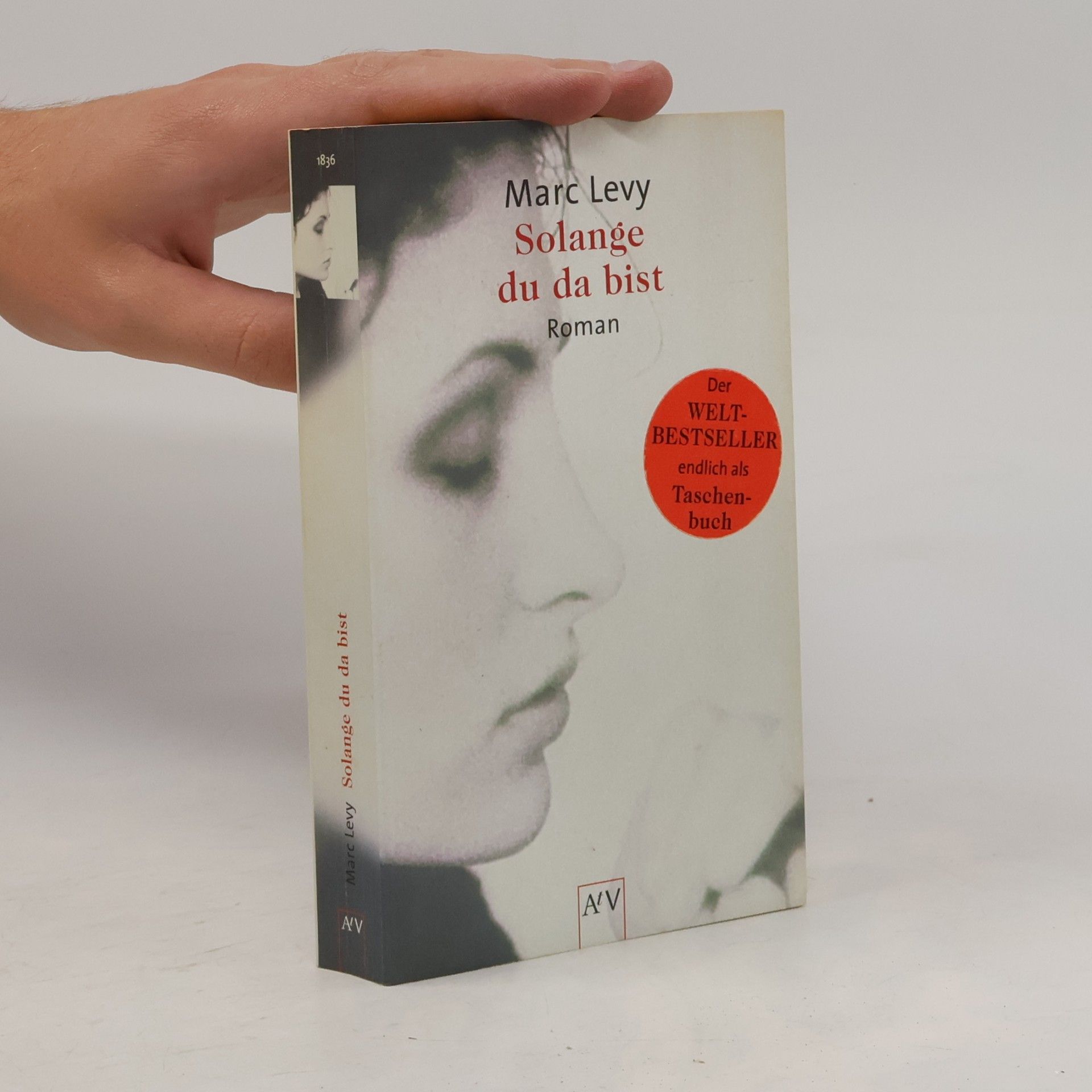 Marc Levy Solange du da bist